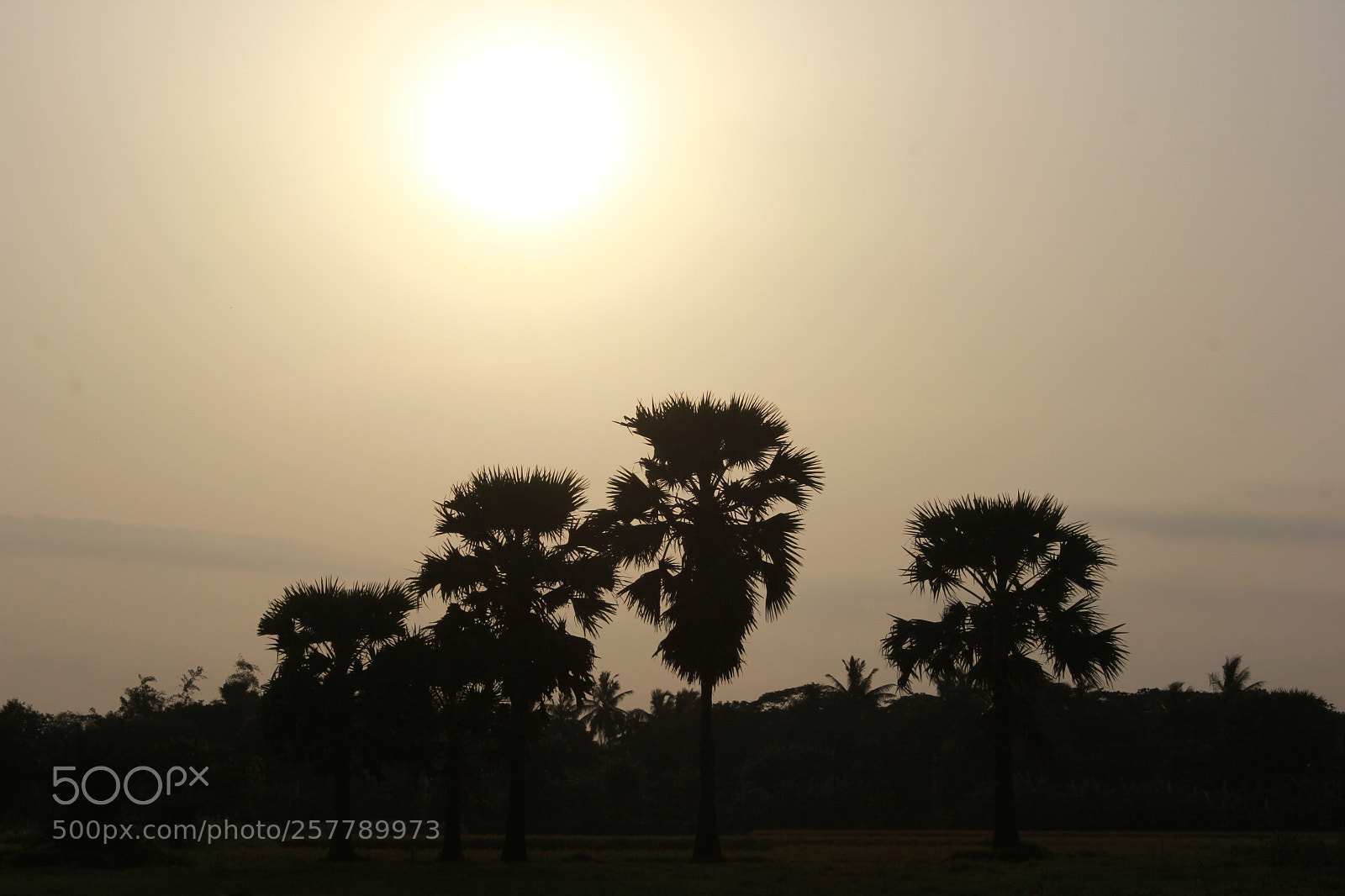 Canon EF-S 18-55mm F3.5-5.6 IS sample photo. An another twilight photography