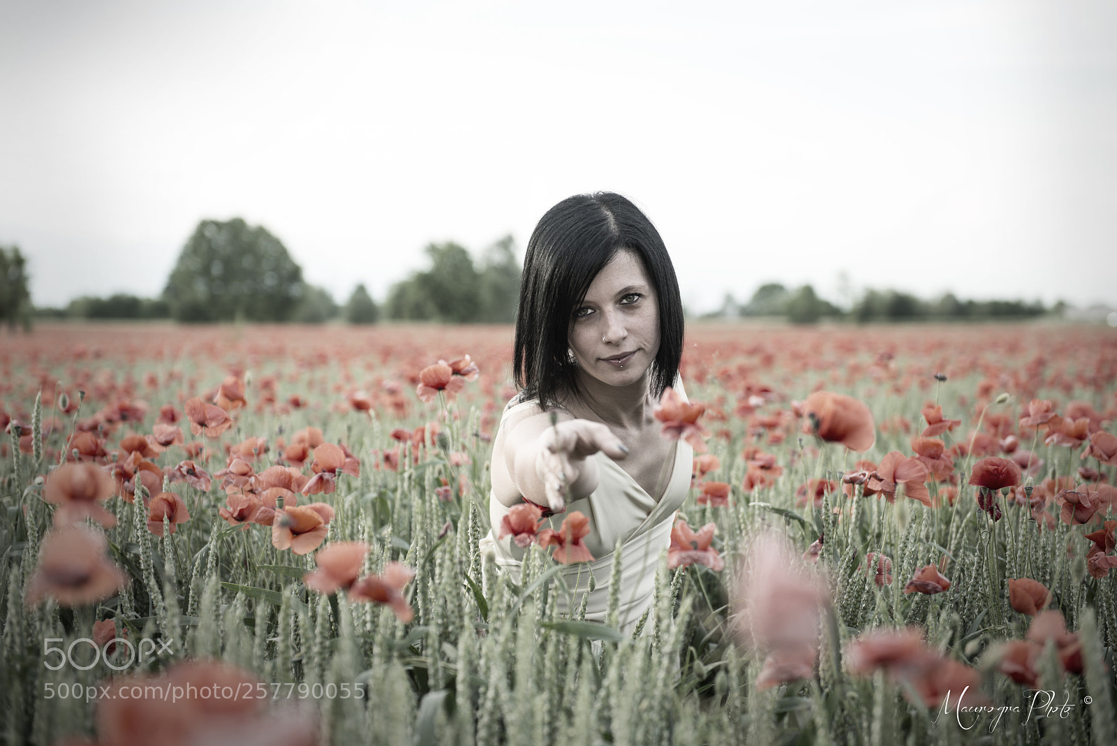 Nikon D800E sample photo. Come, let's go look photography