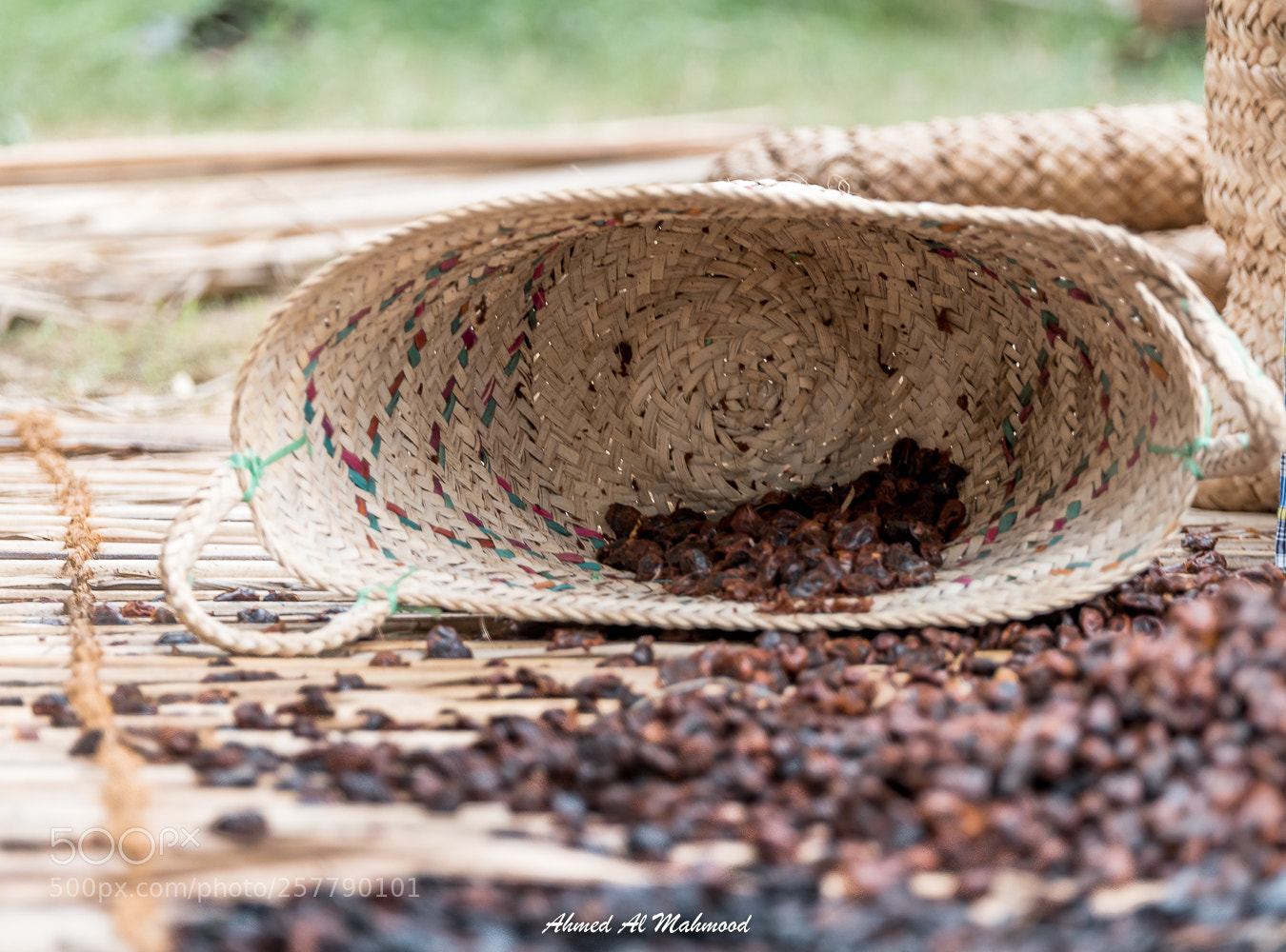 Nikon D750 sample photo. Empty basket photography