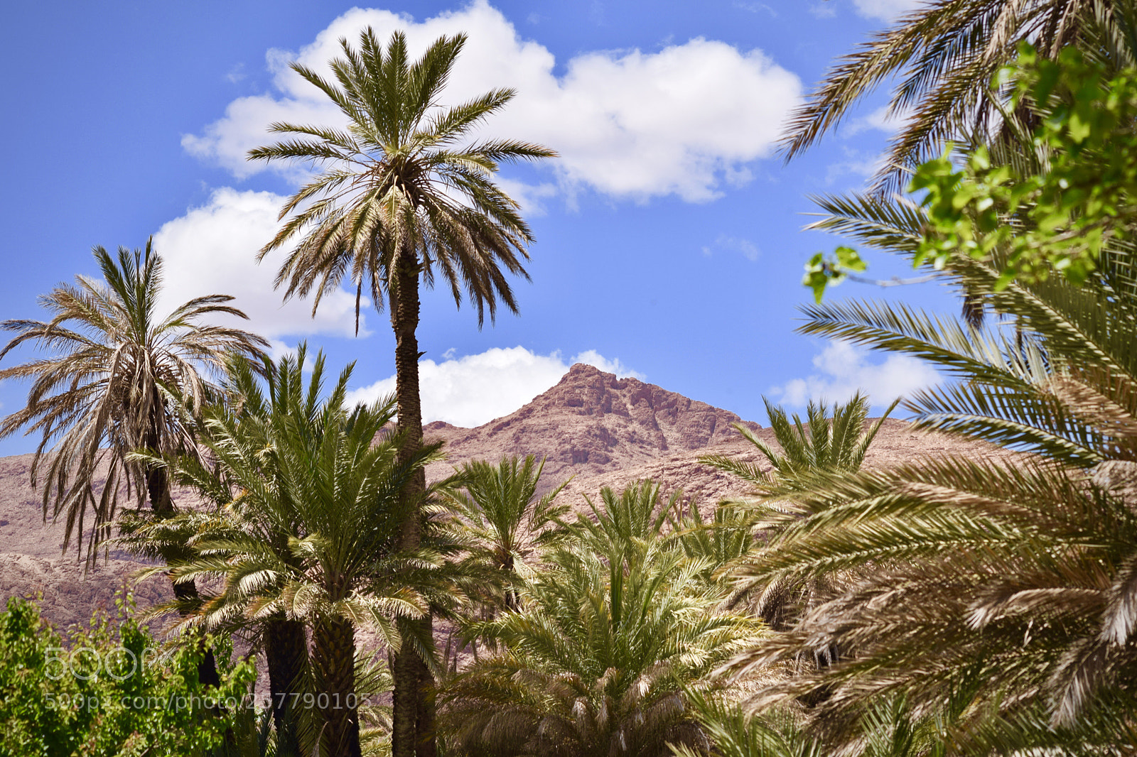 Nikon D3300 sample photo. Todre valley (morocco) photography