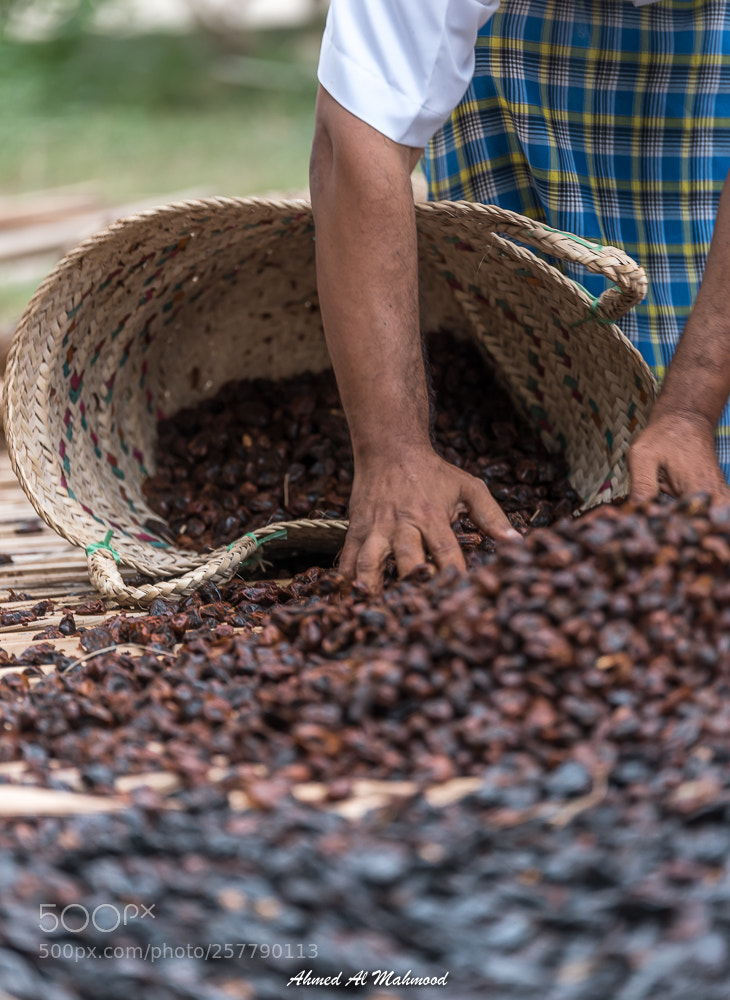 Nikon D750 sample photo. Pooring dates photography