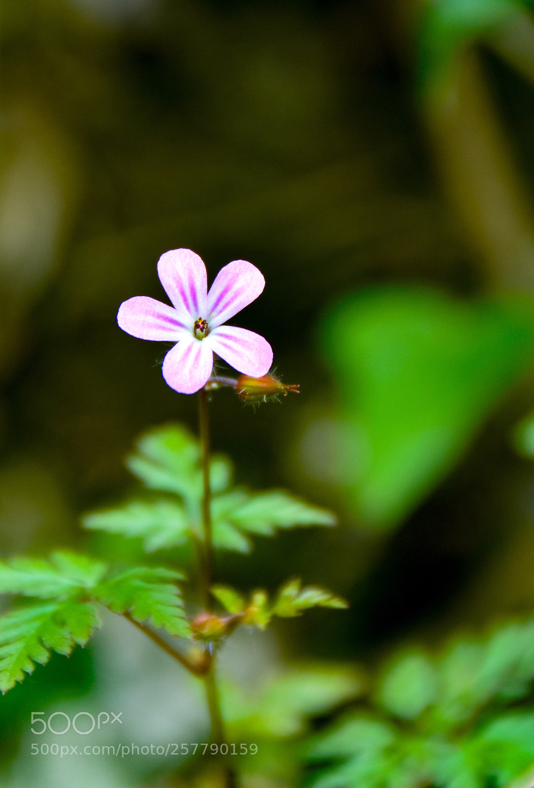 Nikon D7200 sample photo. Untitled photography