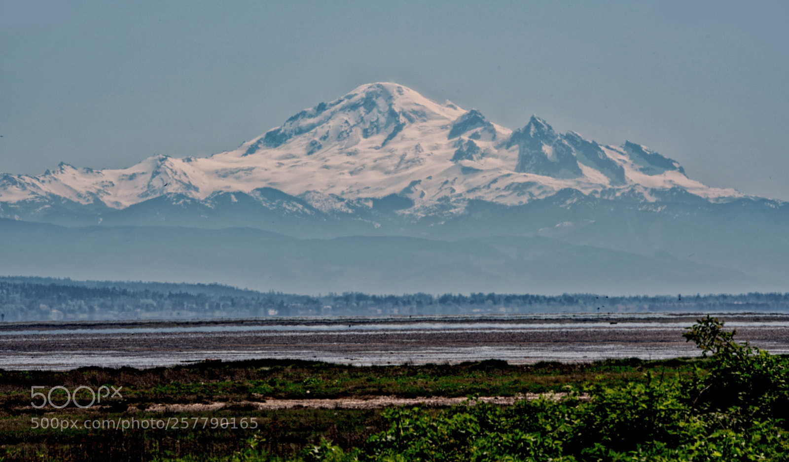 Nikon D750 sample photo. Boundary bay, delta, bc photography