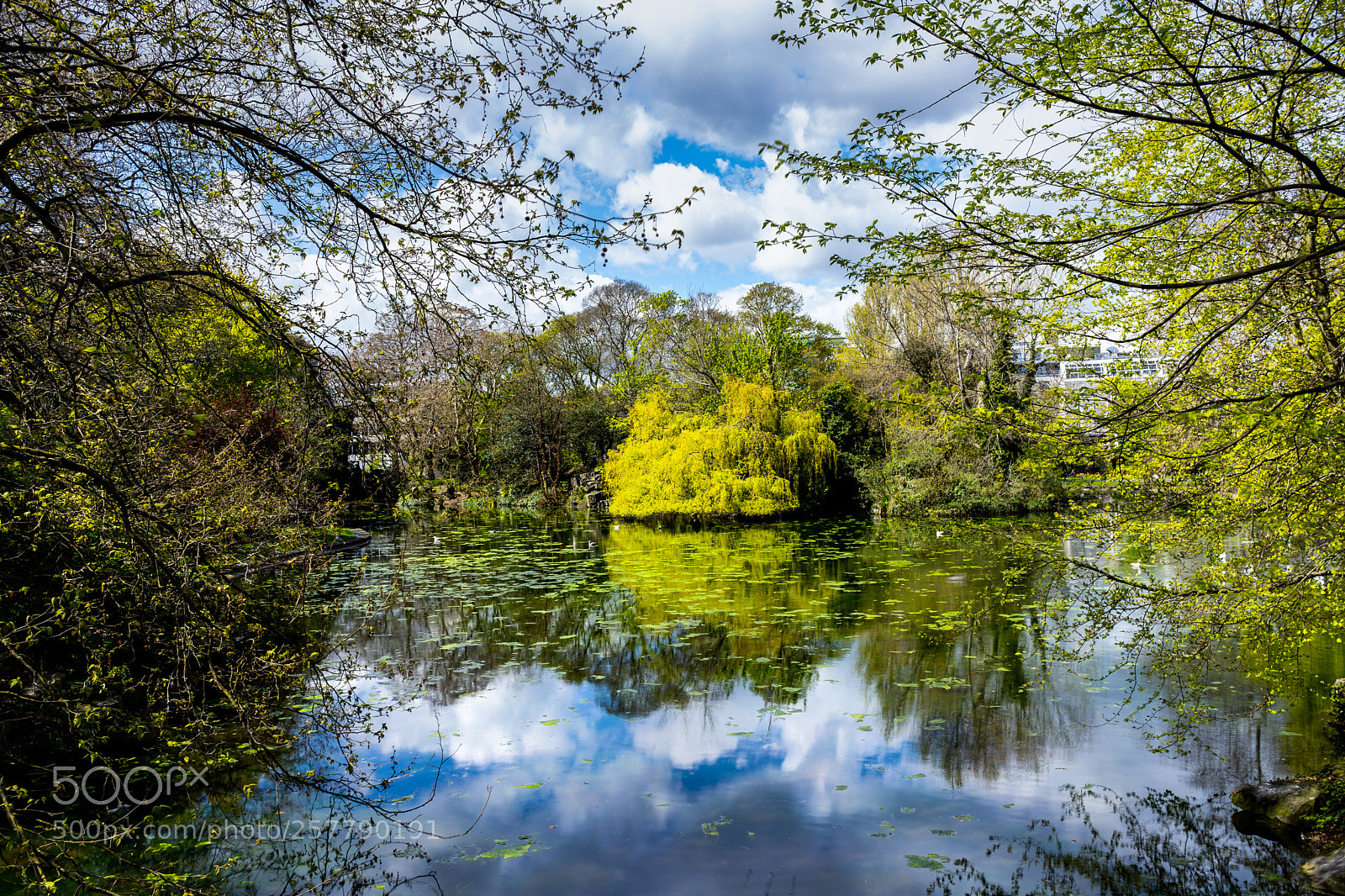 Sony a7 III sample photo. St stephens green photography