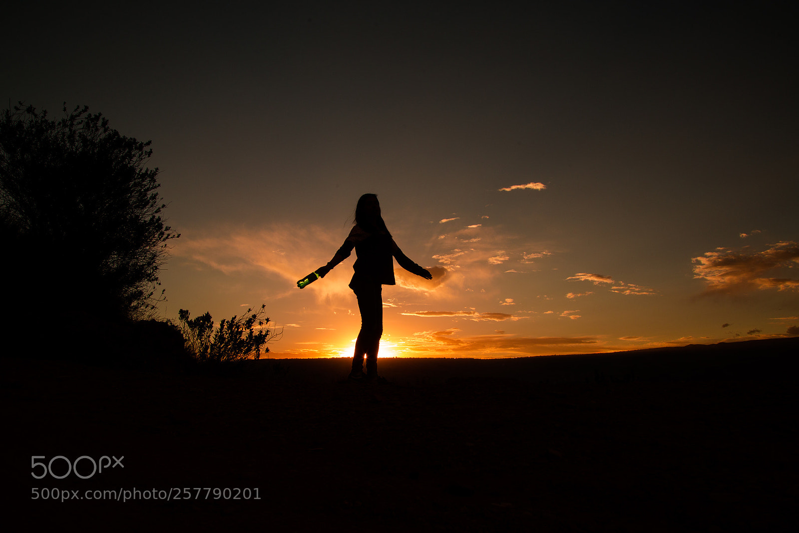 Canon EOS 6D sample photo. True photography