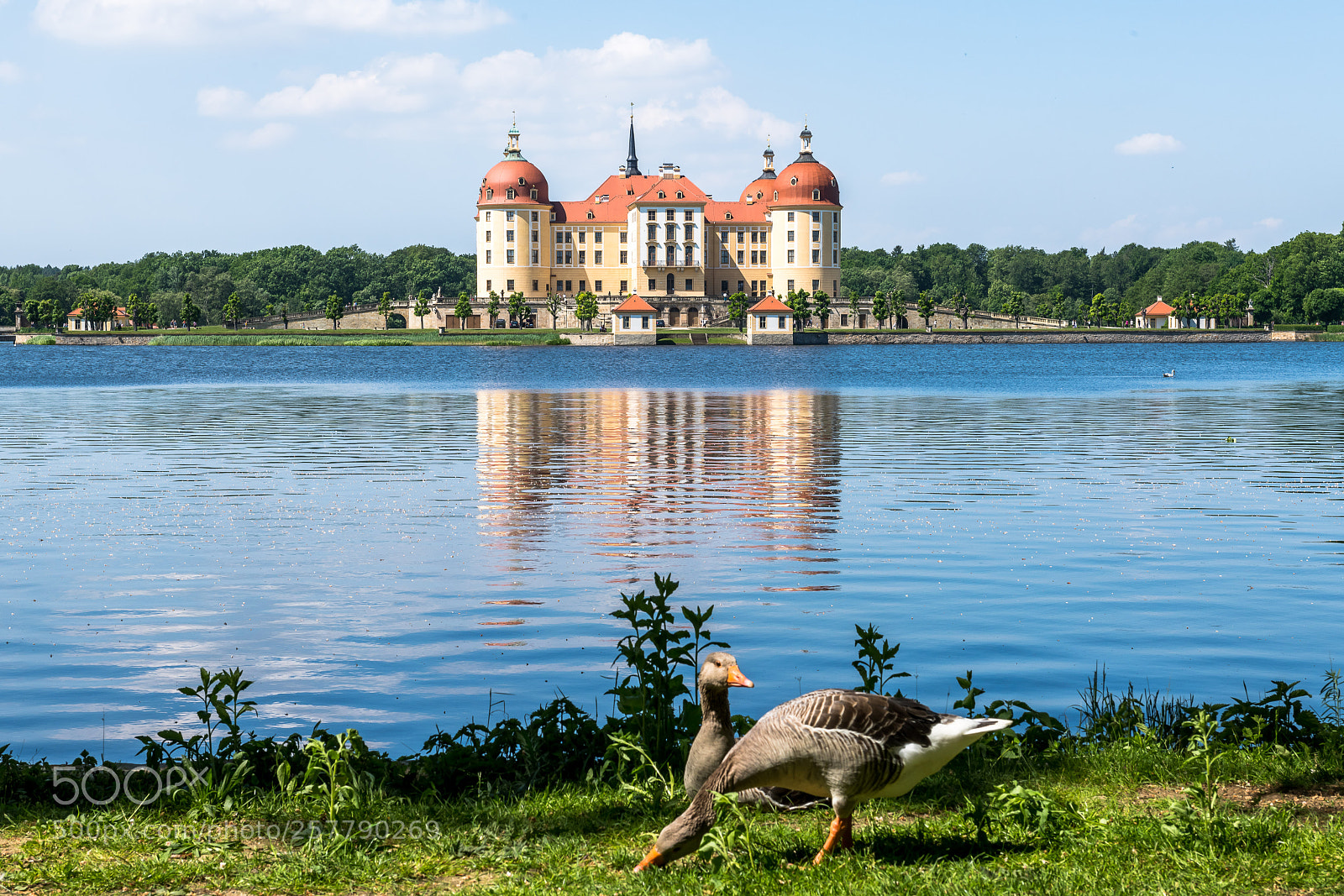 Nikon D850 sample photo. Castle moritzburg photography
