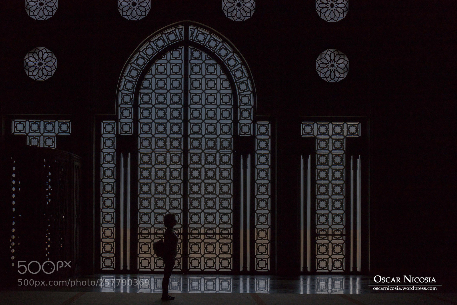 Canon EOS 6D Mark II sample photo. Hassan ii mosque photography