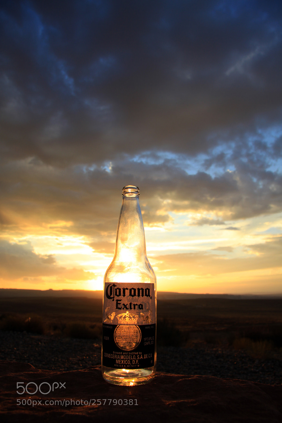 Canon EOS 50D sample photo. Untitled photography