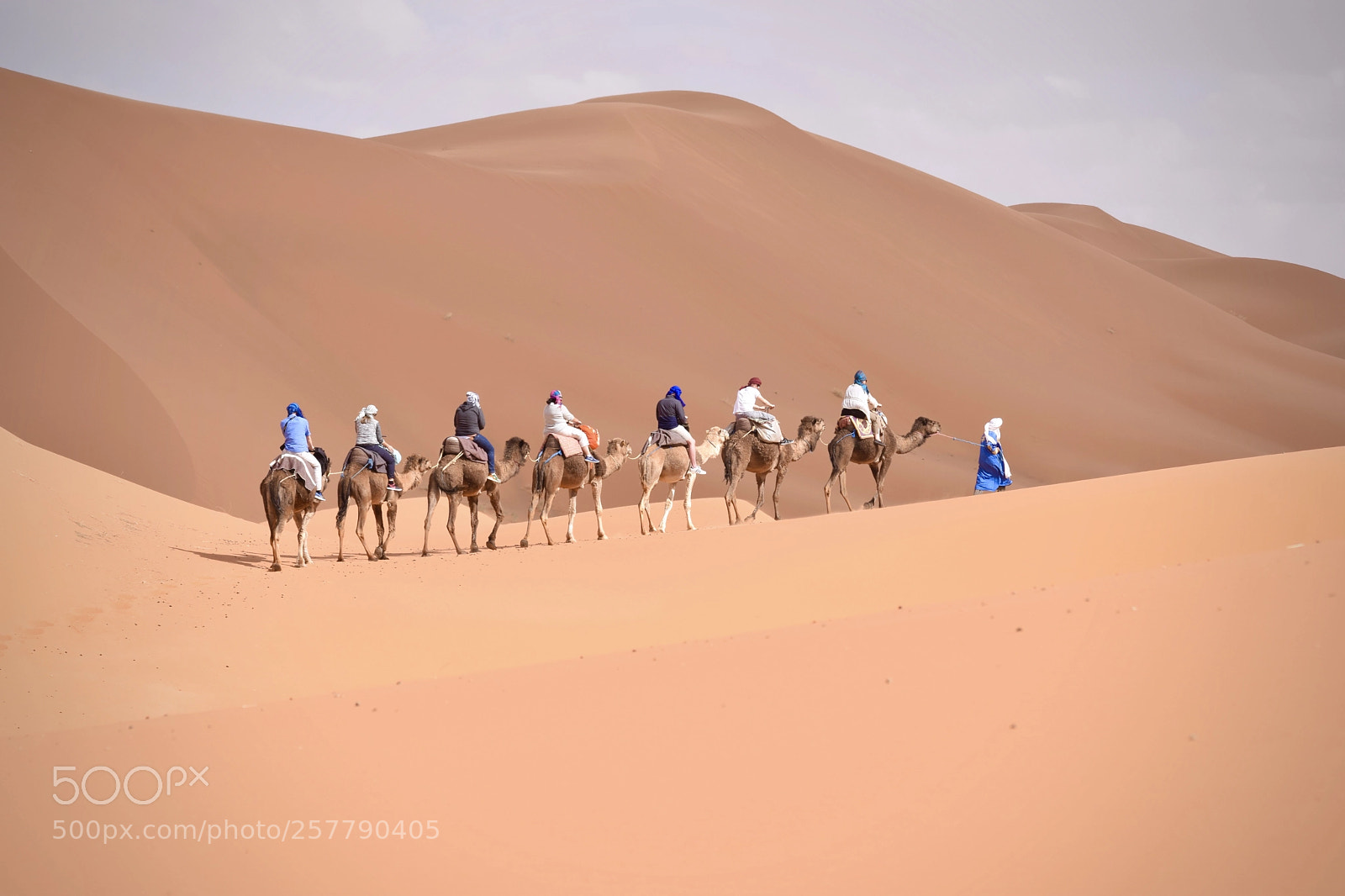 Nikon D3300 sample photo. Sahara roaming  photography