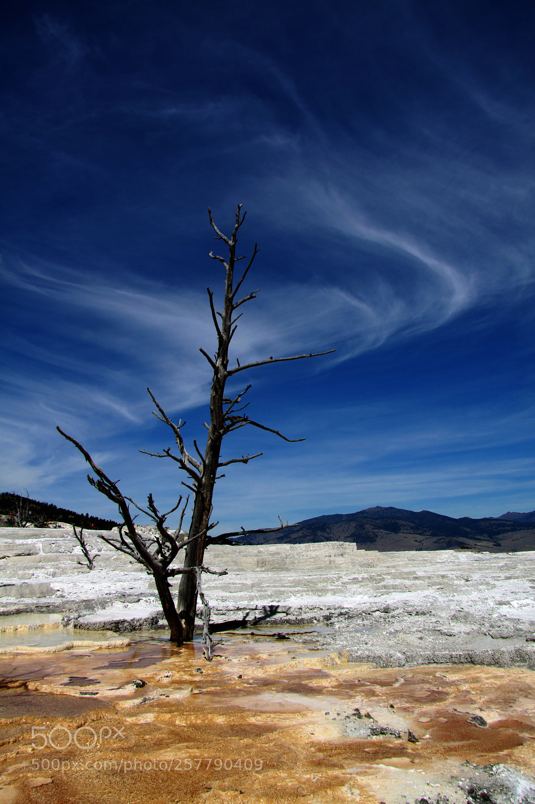 Canon EOS 50D sample photo. Untitled photography
