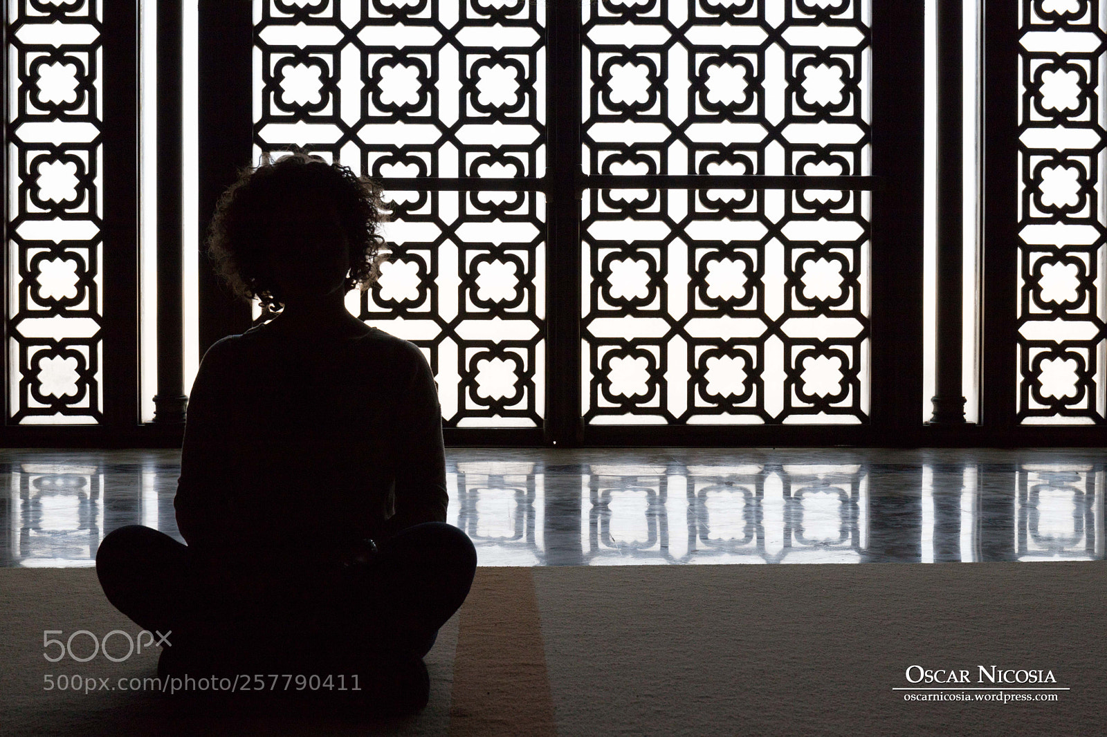 Canon EOS 6D Mark II sample photo. Hassan ii mosque photography