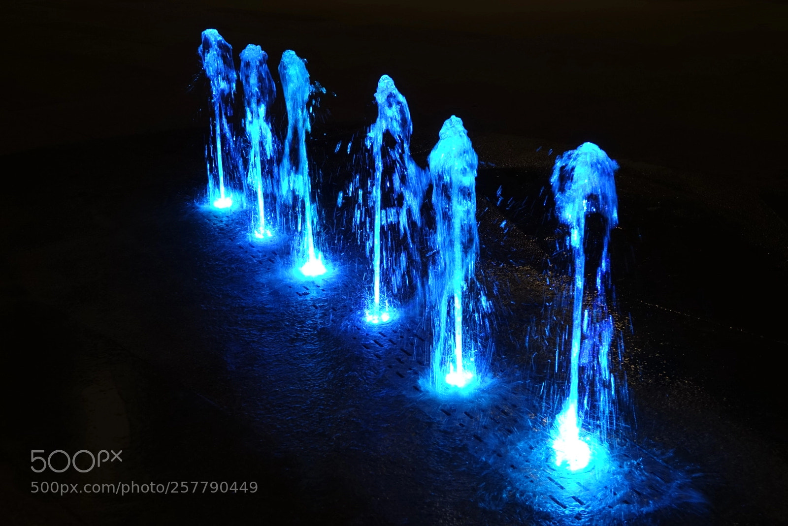 Sony Cyber-shot DSC-RX10 sample photo. Blue ! photography