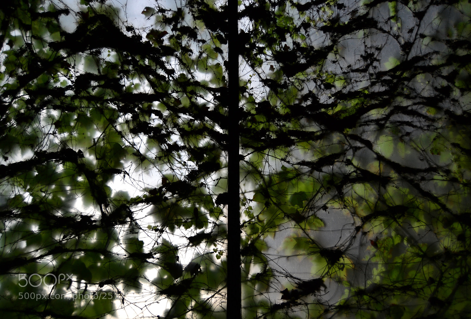 Nikon D3100 sample photo. 44 photography