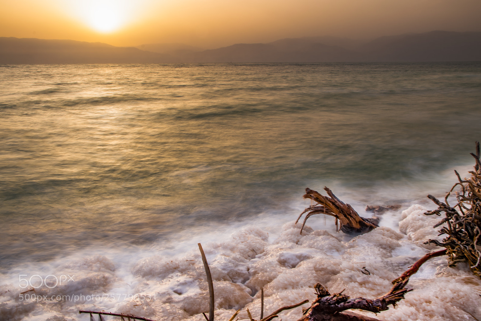 Nikon D5500 sample photo. Edit photography