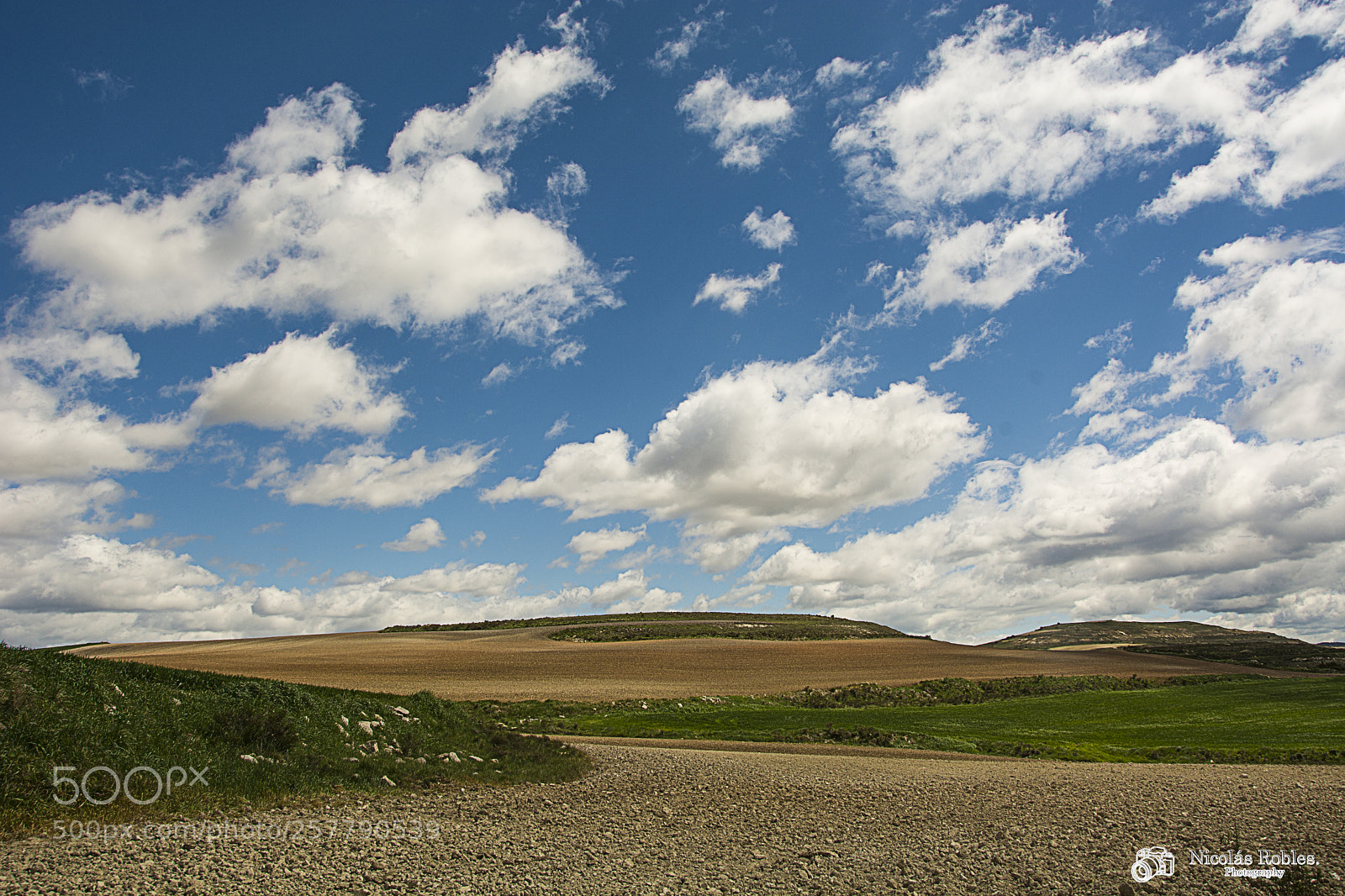Nikon D7100 sample photo. Campos de rublacedo photography