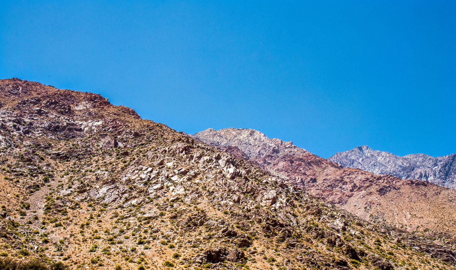 Canon EOS 77D (EOS 9000D / EOS 770D) sample photo. Which way to go? photography