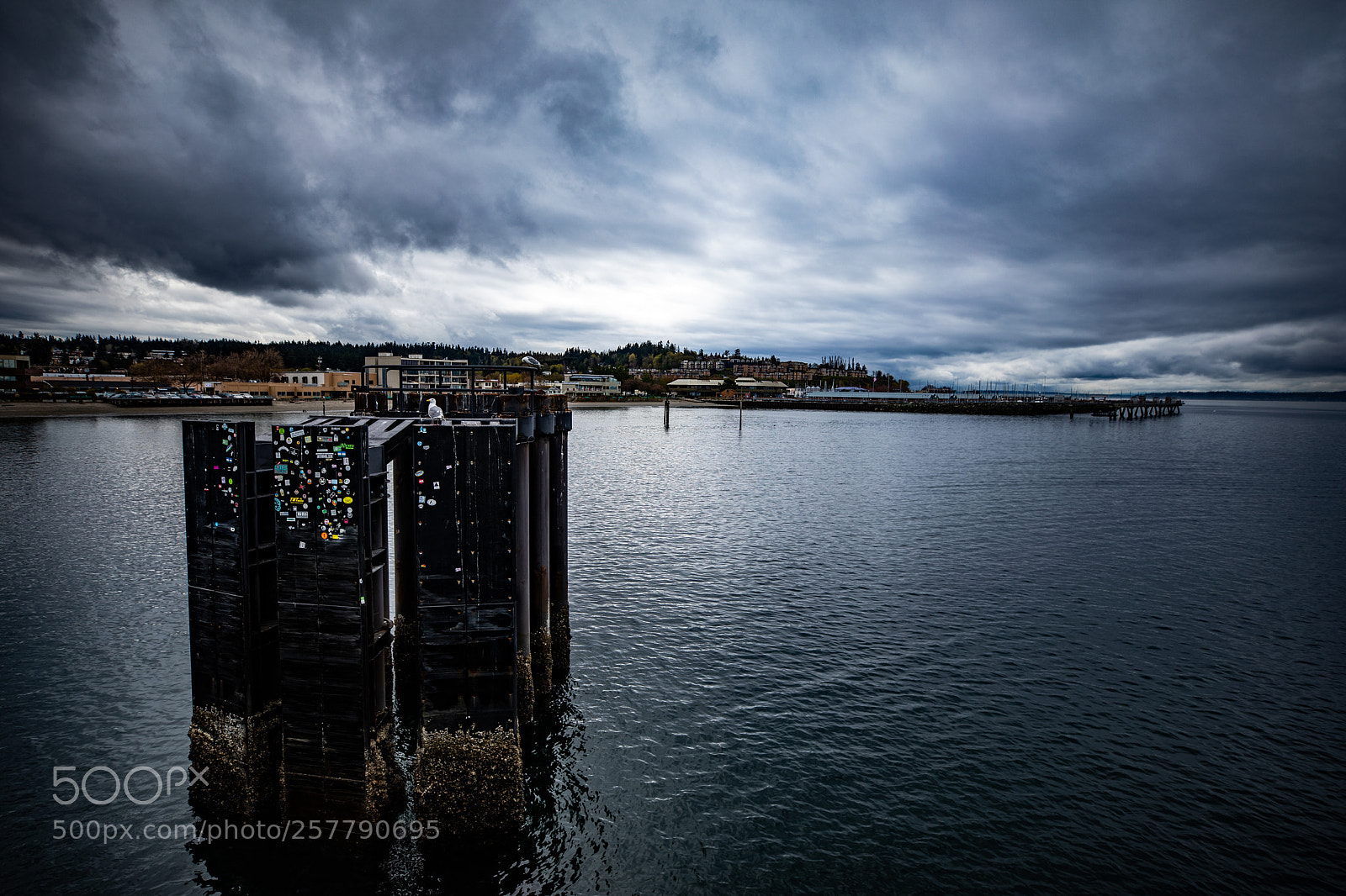 Canon EOS 5D Mark IV sample photo. Port angeles drive photography
