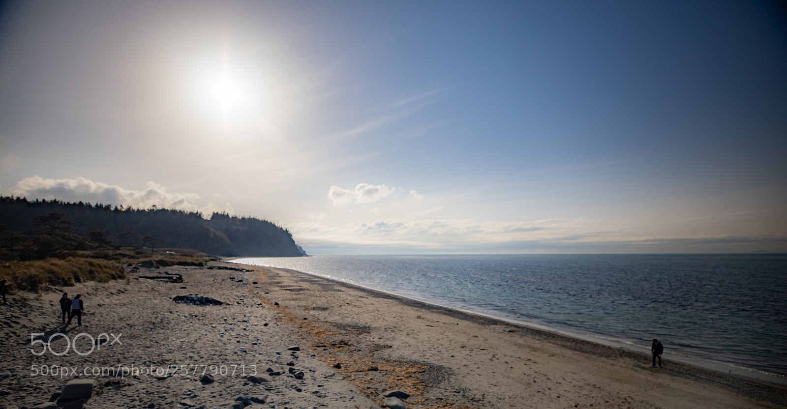 Canon EOS 5D Mark IV sample photo. Port angeles drive photography