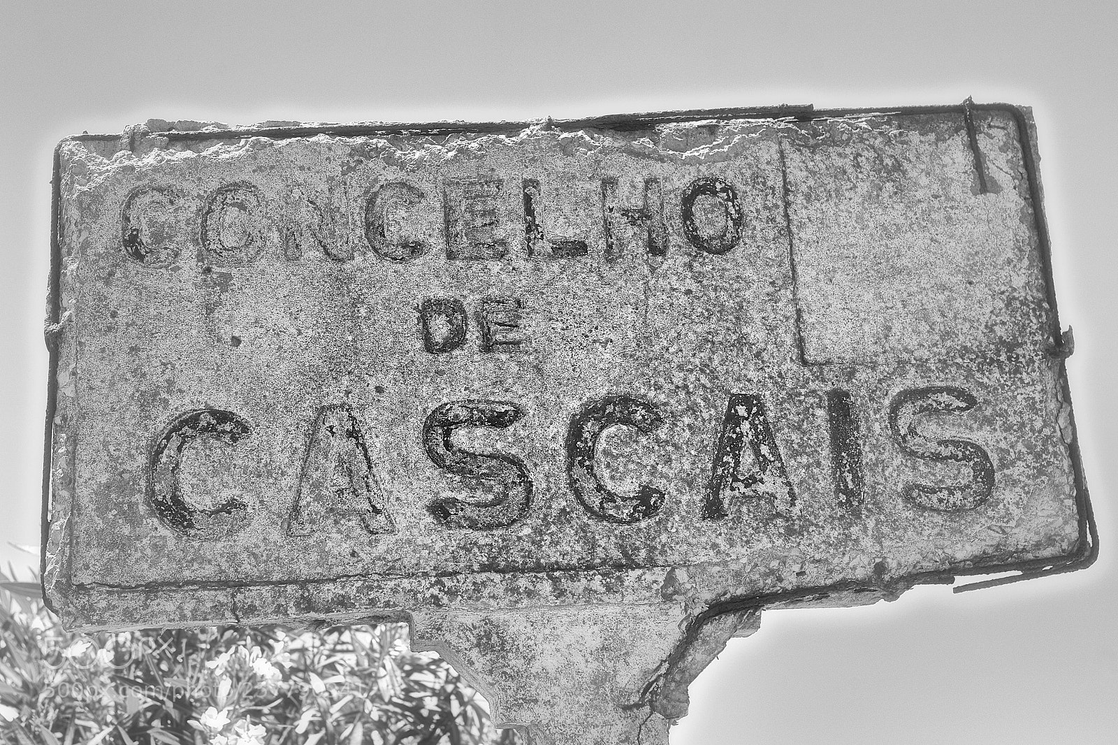 Canon EOS 6D sample photo. Concelho de cascais photography
