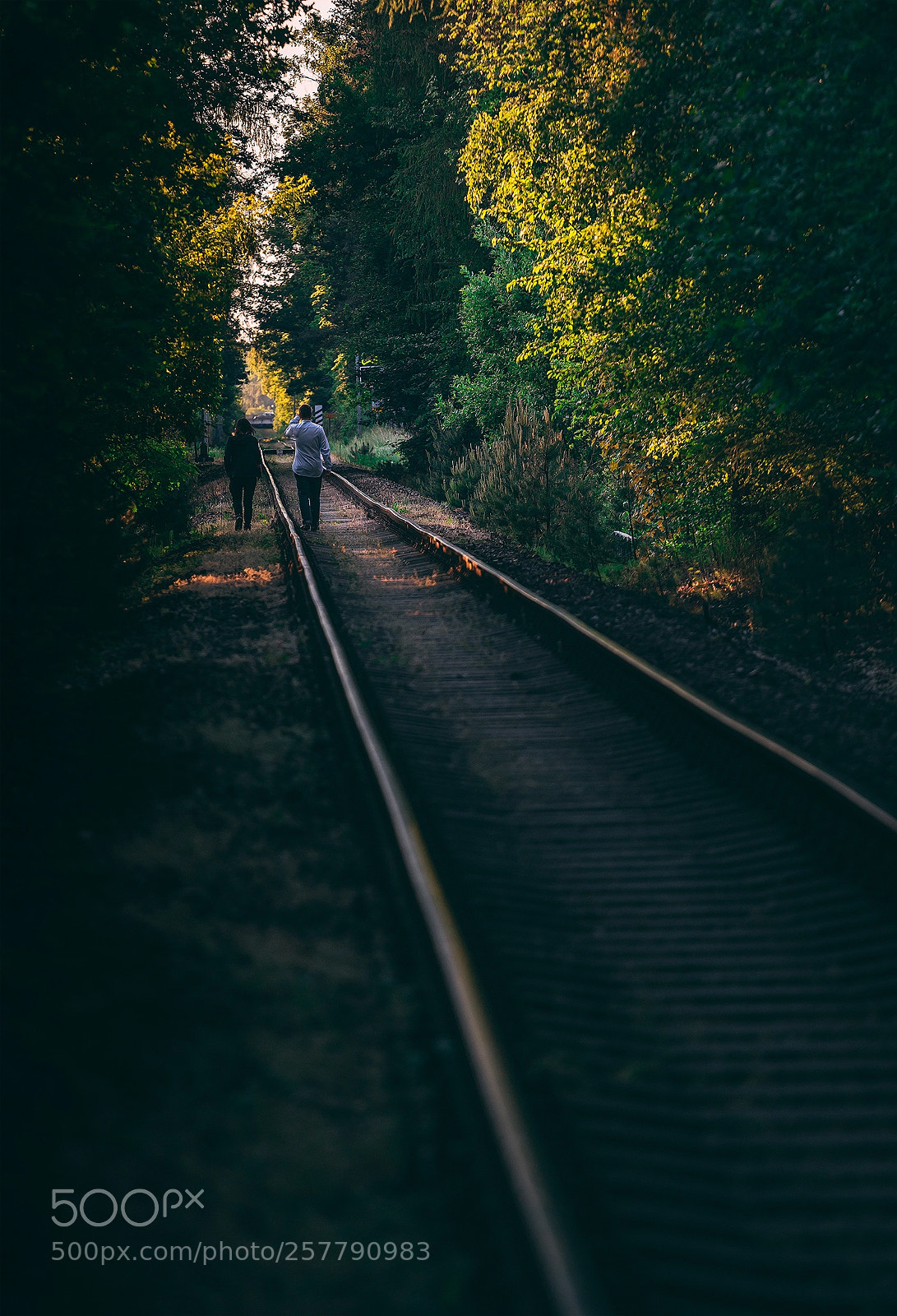 Sony a7 II sample photo. On rails... photography
