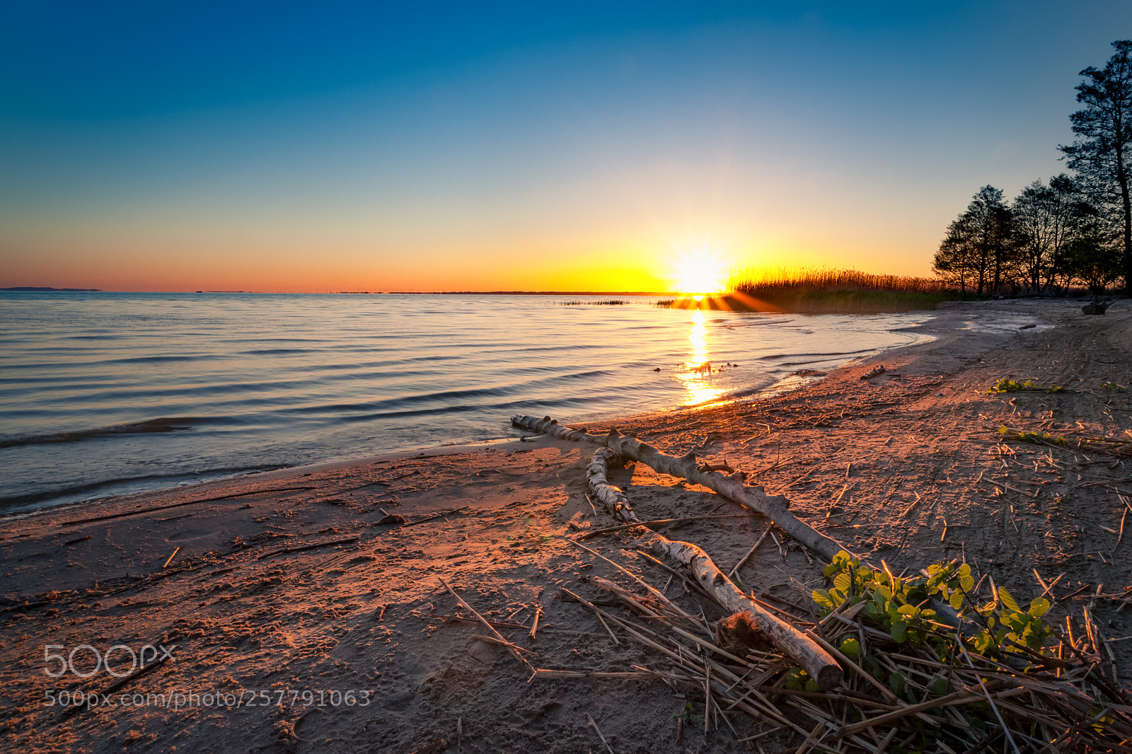 Canon EOS 5D Mark II sample photo. Wild beach at dawn photography