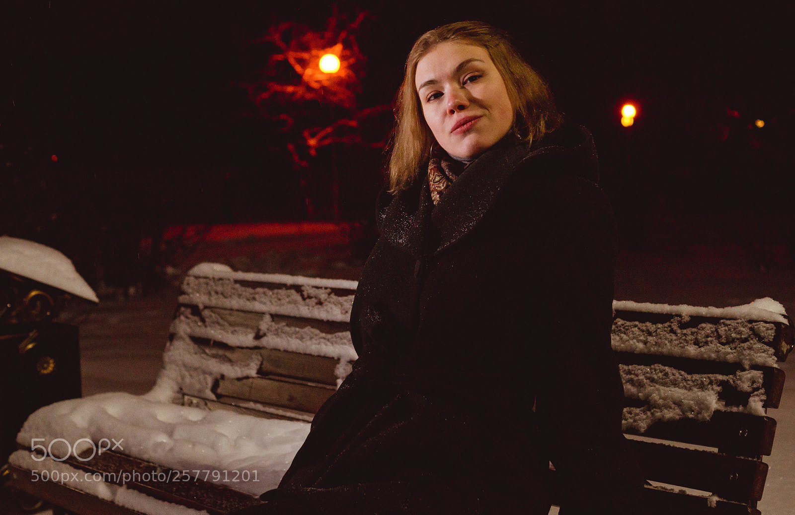 Sony SLT-A58 sample photo. Good night winter! photography