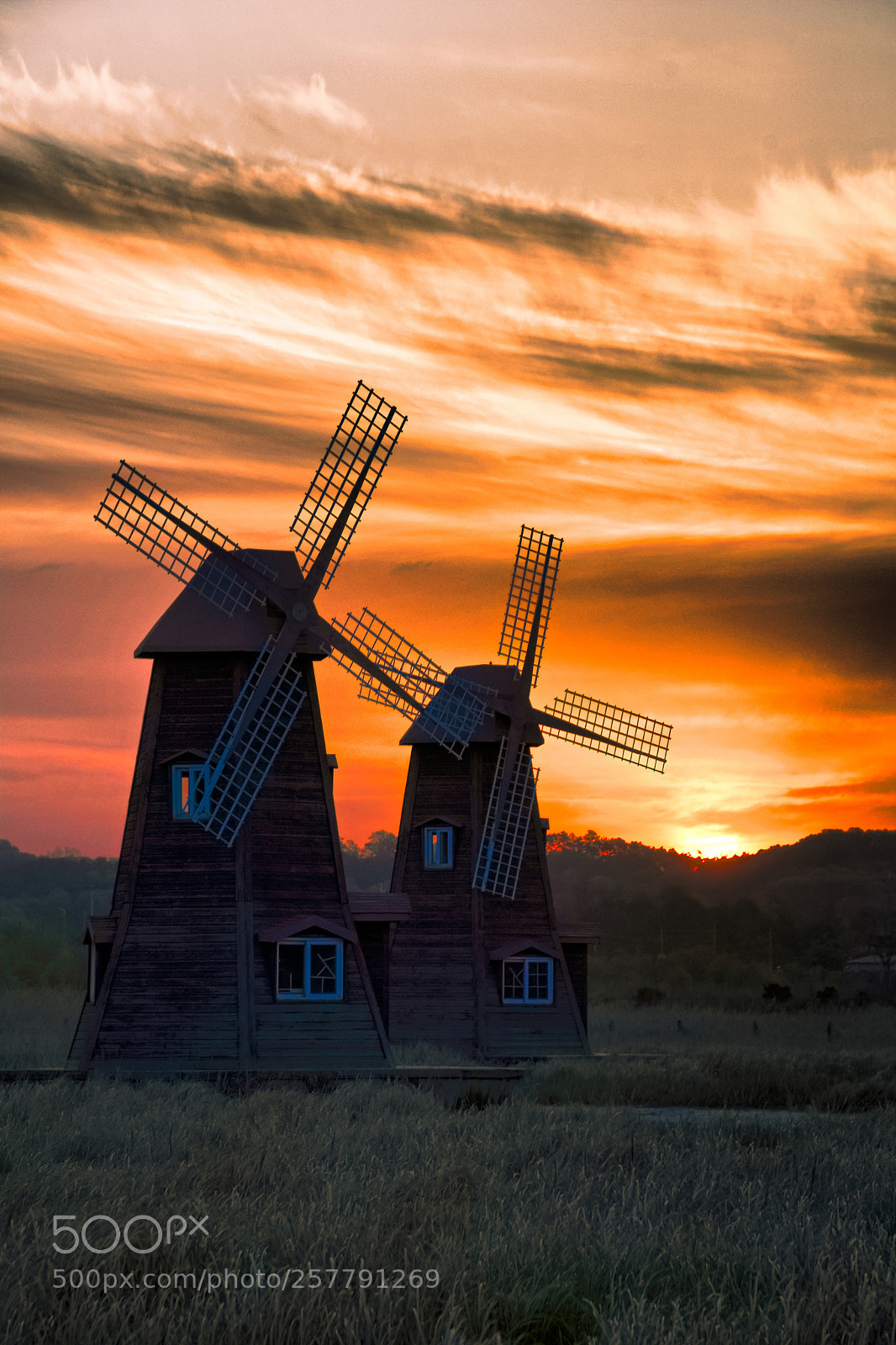 Nikon D500 sample photo. The sunrise of the photography