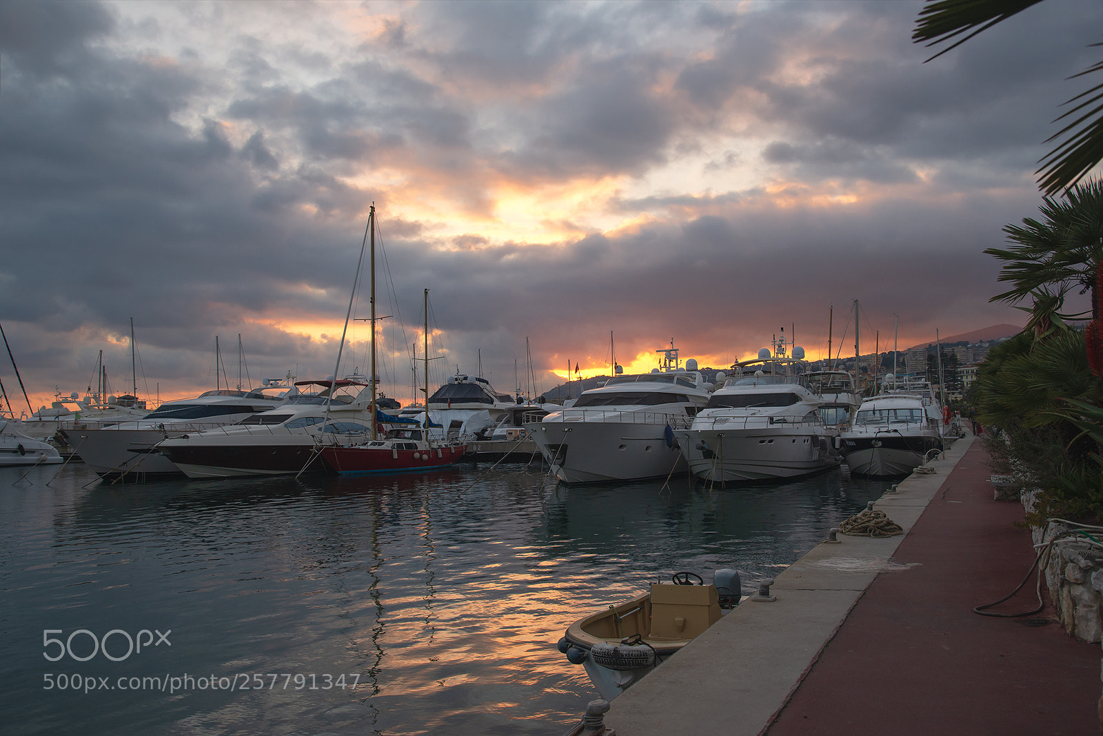 Nikon D610 sample photo. Portosole photography