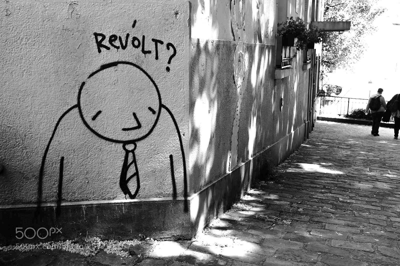 Fujifilm X100S sample photo. Revolt? photography