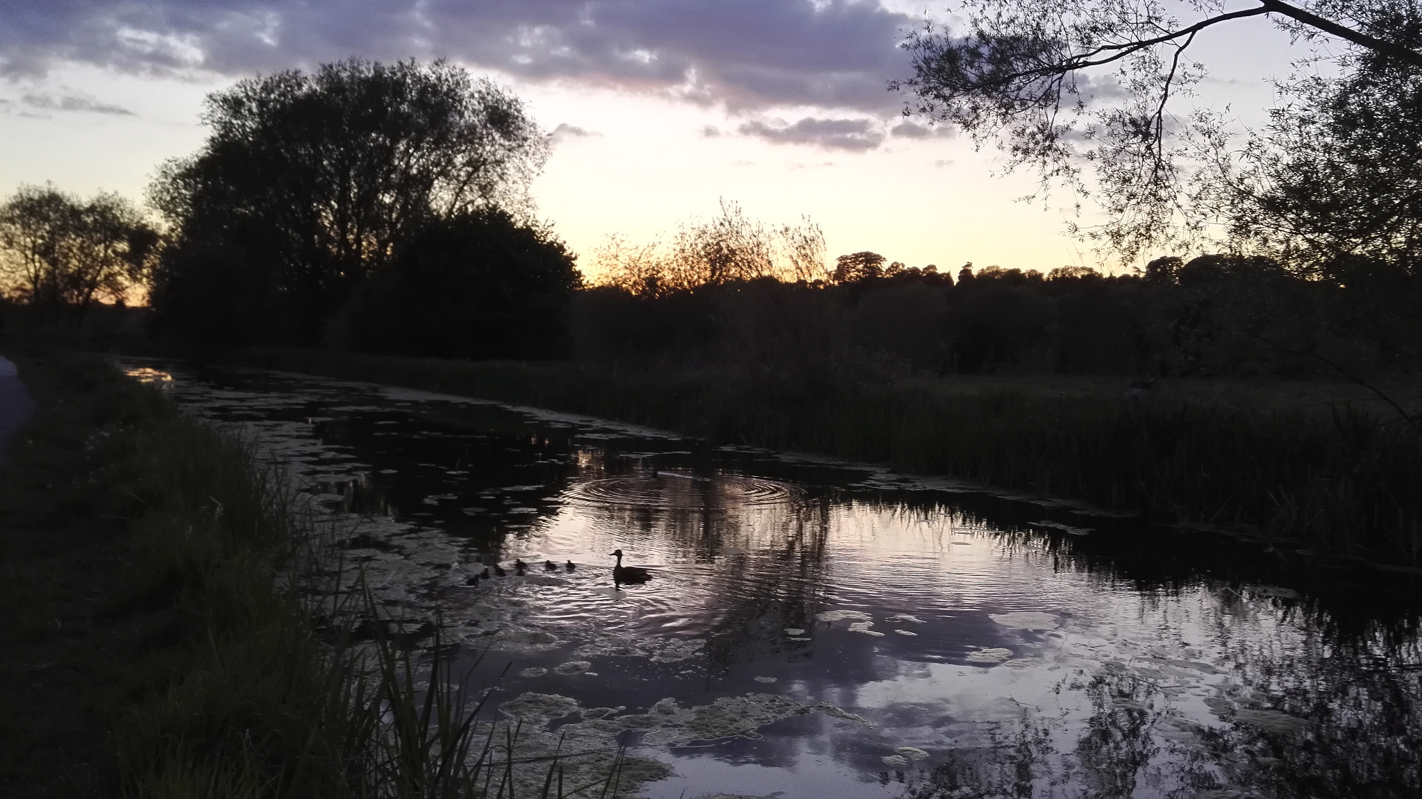 HUAWEI Honor 7 sample photo