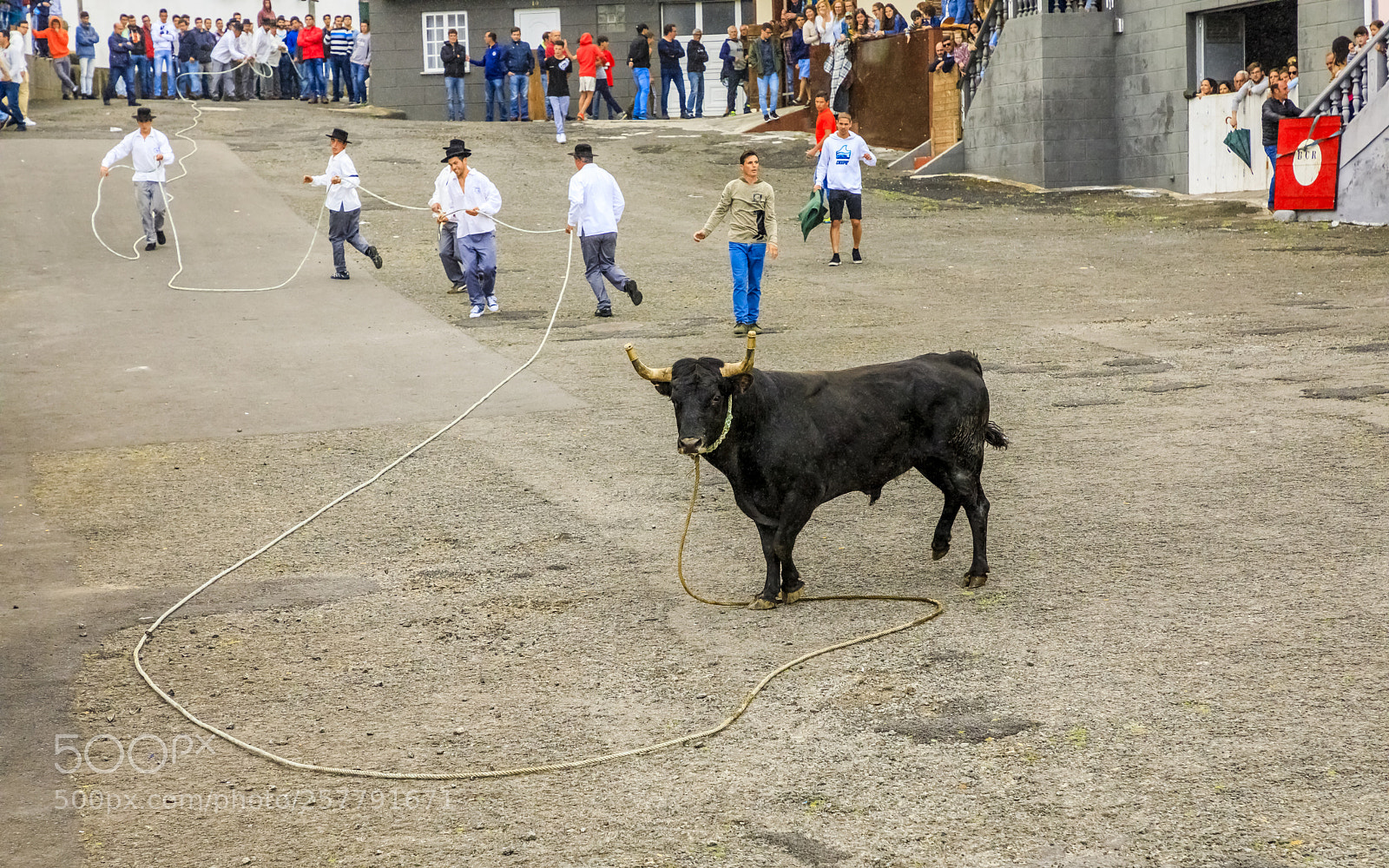 Canon EOS 5D Mark IV sample photo. A ores-terceira-ribeirinha-bullfight on a photography