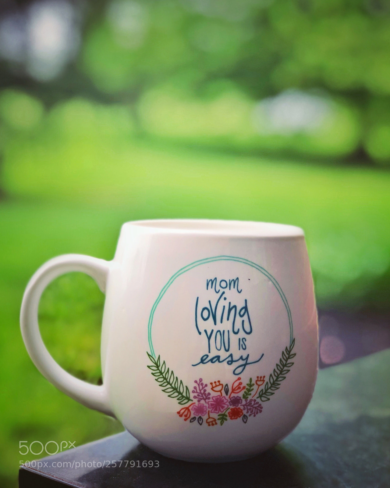 Apple iPhone 8 Plus sample photo. Mothers day photography