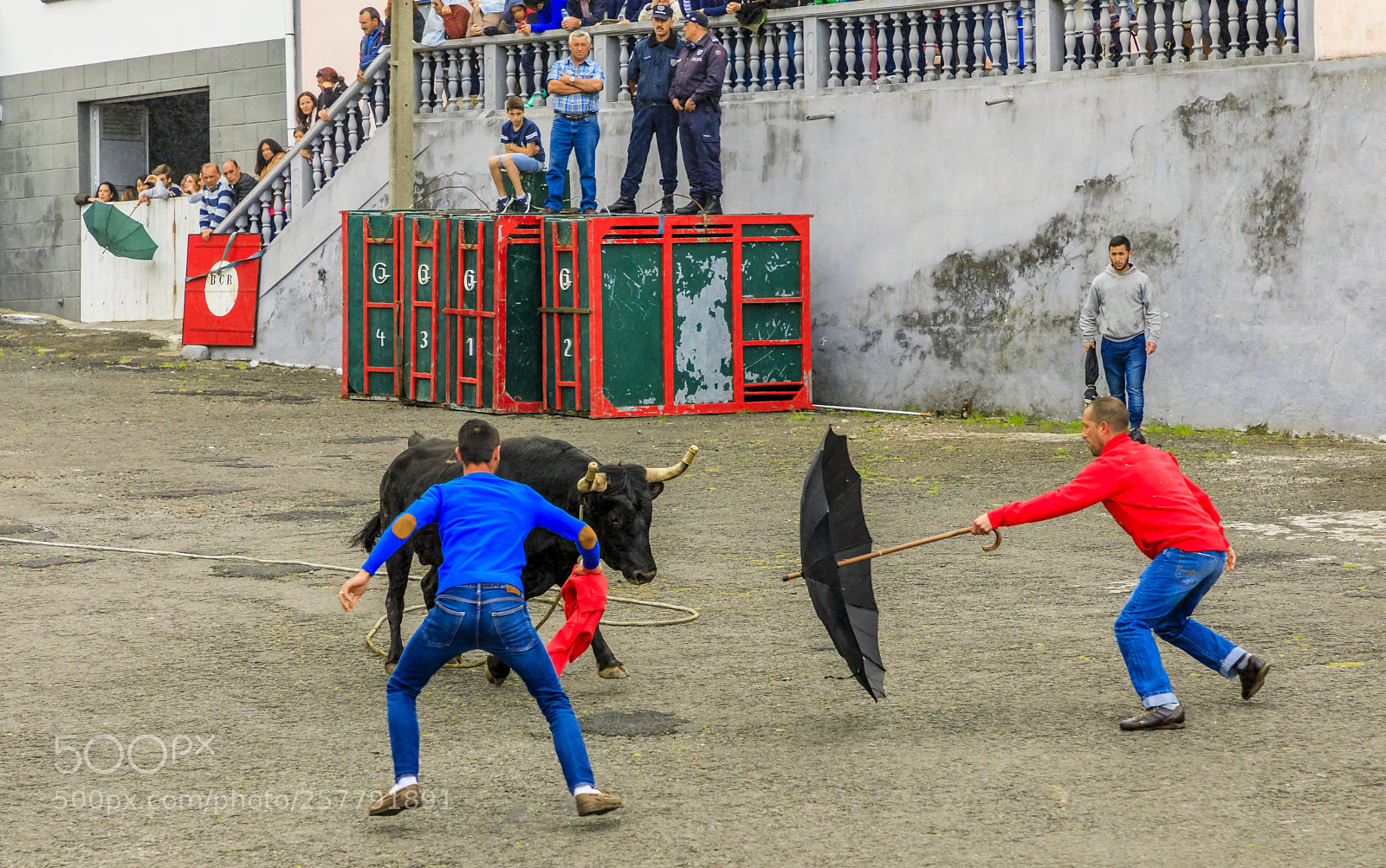Canon EOS 5D Mark IV sample photo. A ores-terceira-ribeirinha-bullfight on a photography