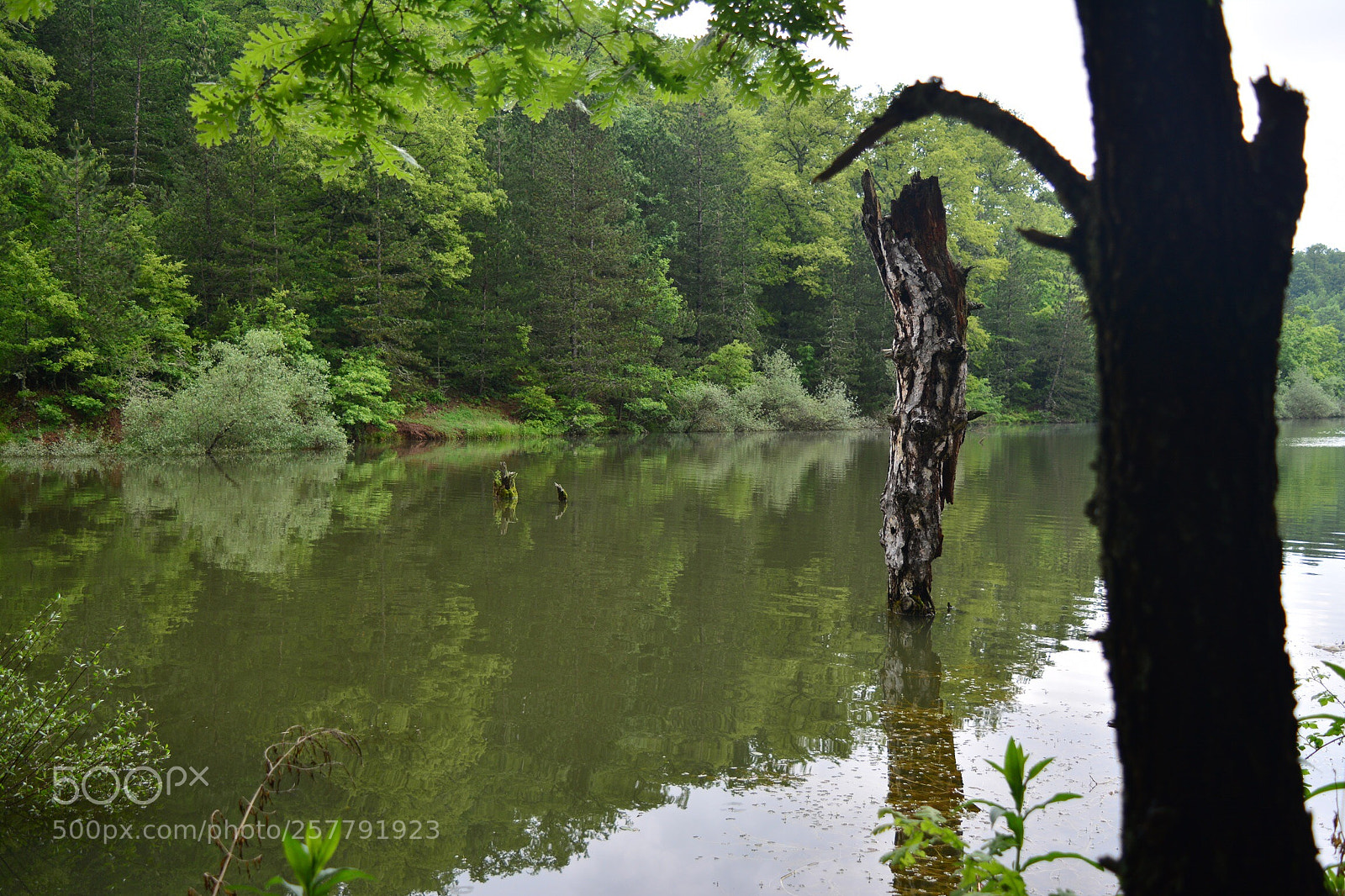 Nikon D5200 sample photo. Untitled photography