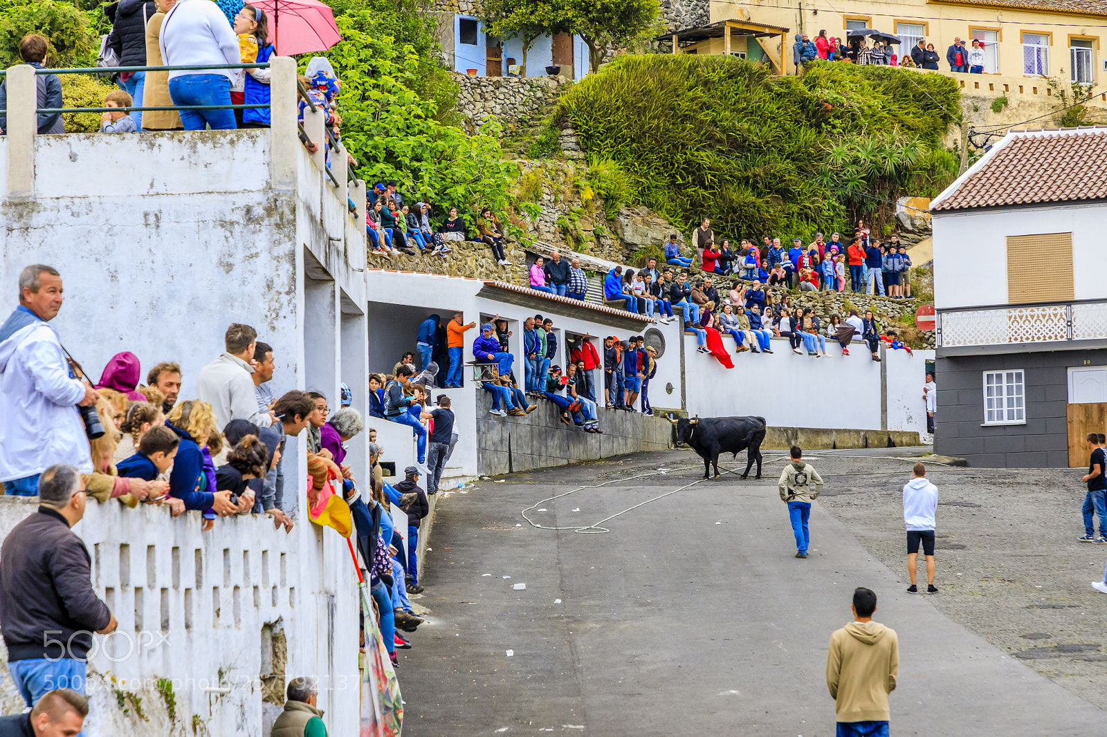 Canon EOS 5D Mark IV sample photo. A ores-terceira-ribeirinha-bullfight on a photography