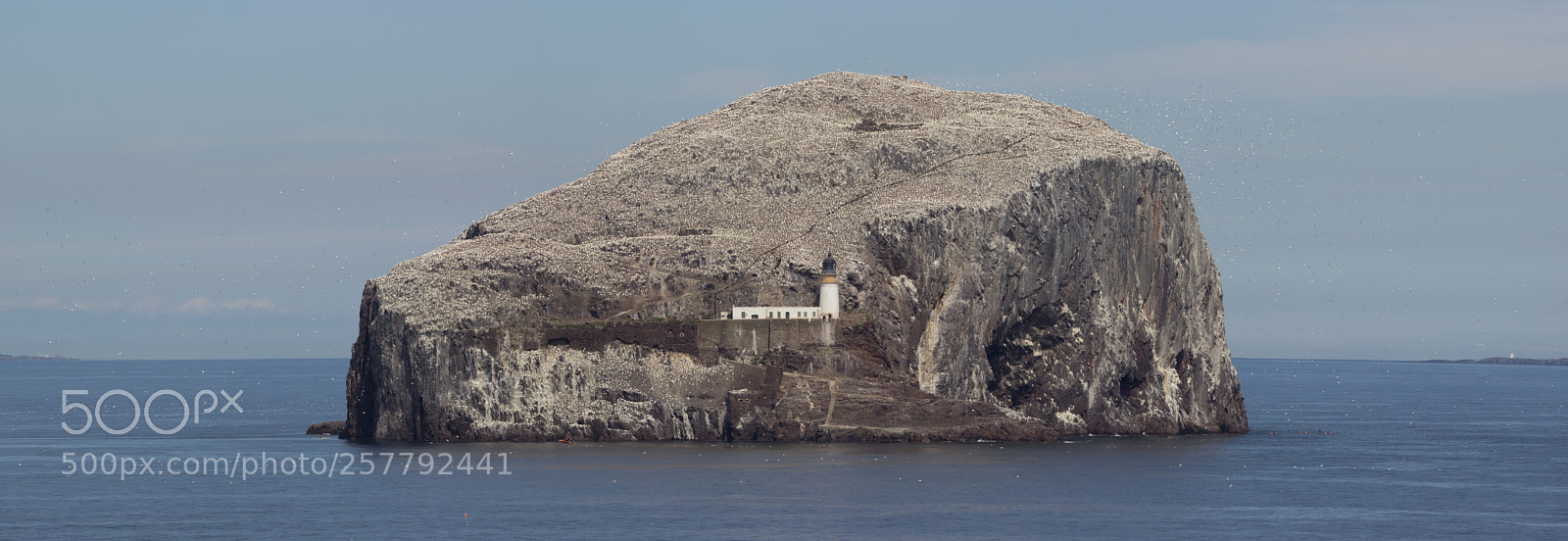 Canon EOS 600D (Rebel EOS T3i / EOS Kiss X5) sample photo. Bass rock the biggest photography