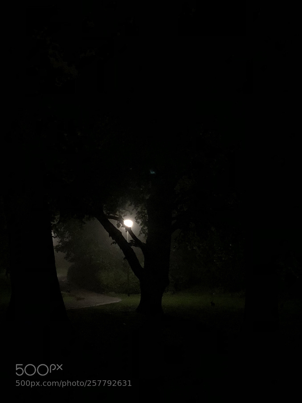 Apple iPhone X sample photo. Untitled photography