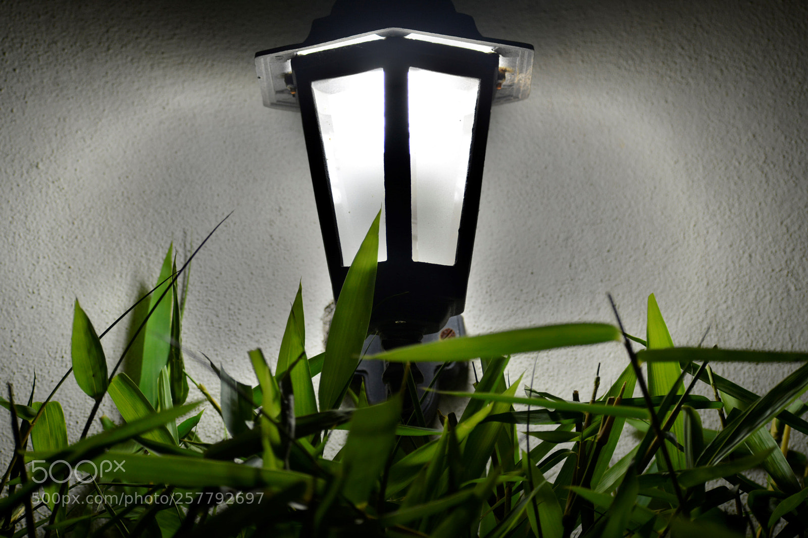 Nikon D5200 sample photo. Dsc photography