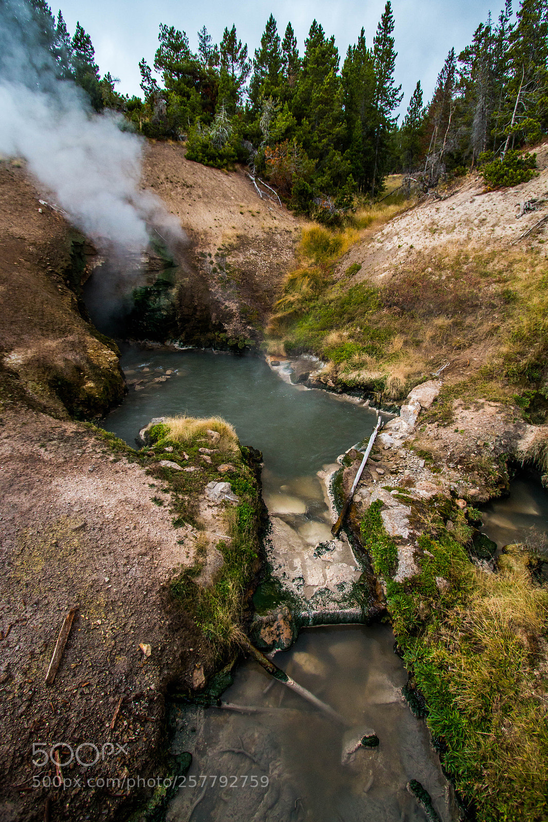 Canon EOS 70D sample photo. Dragons mouth spring in photography