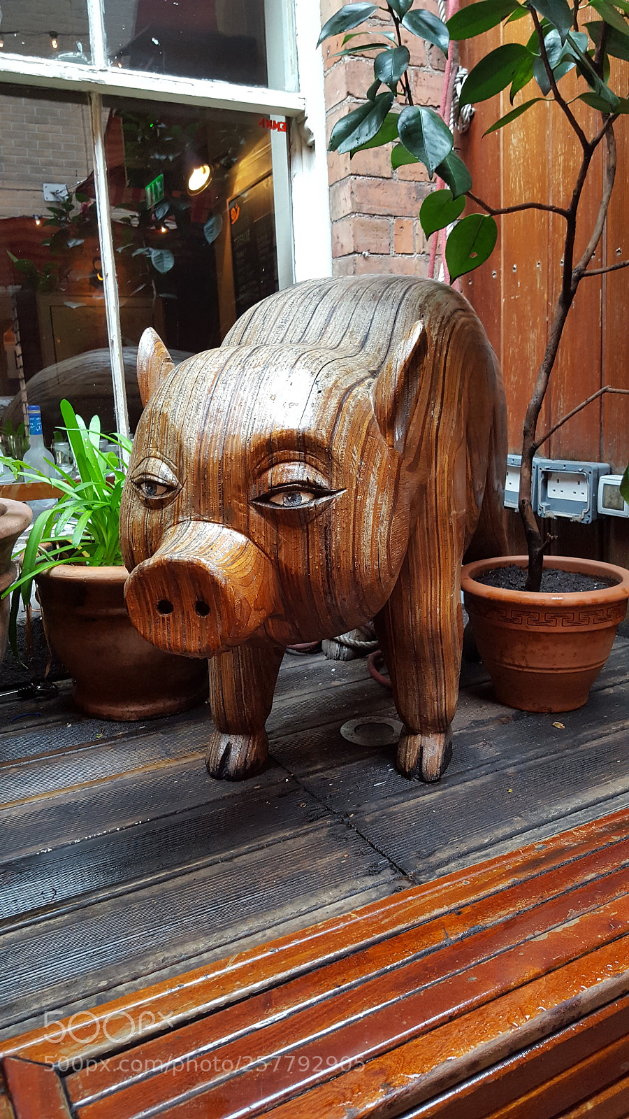 Samsung GALAXY S6 edge sample photo. Untitled photography