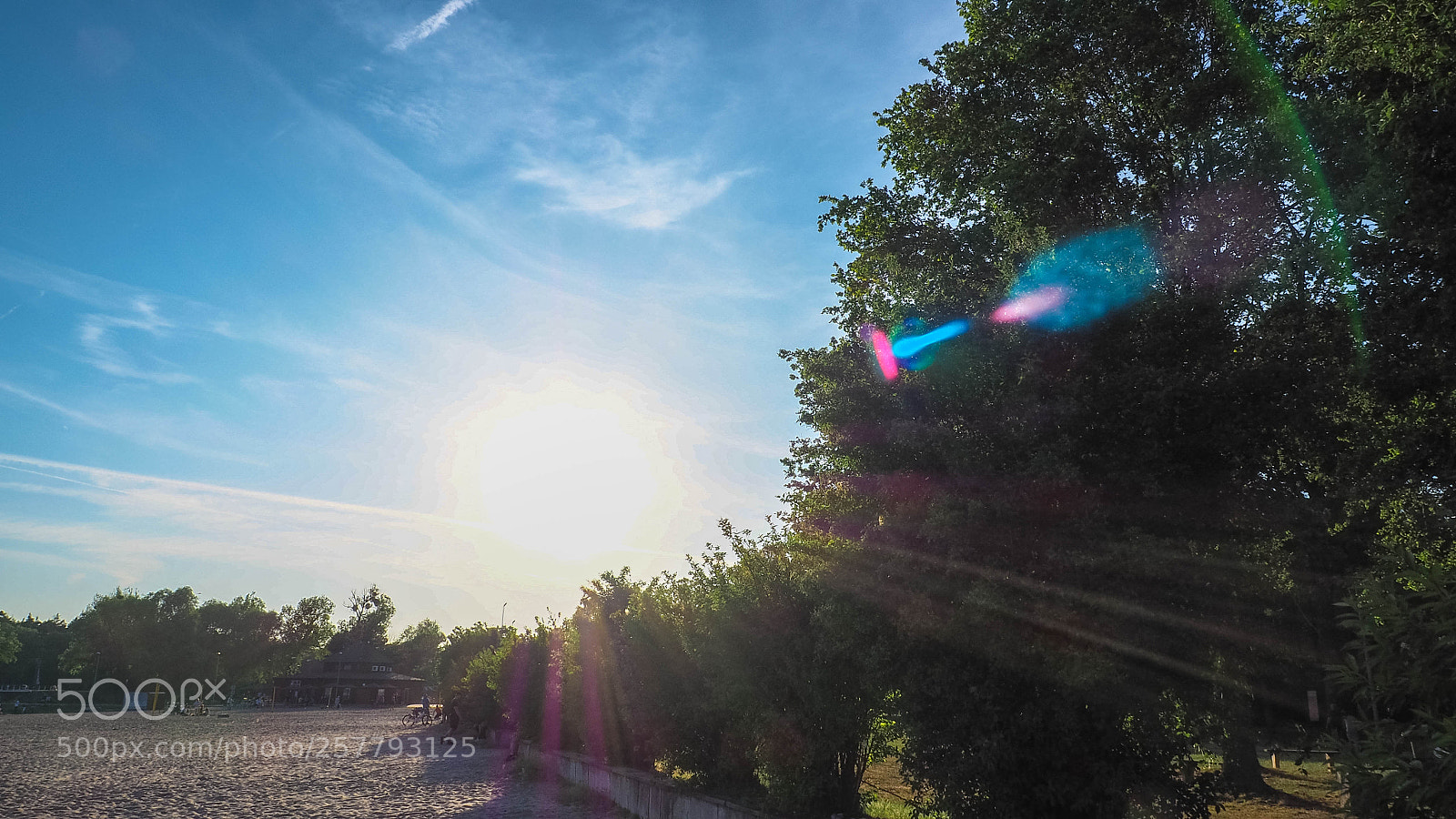 Olympus OM-D E-M10 II sample photo. Sunny day photography