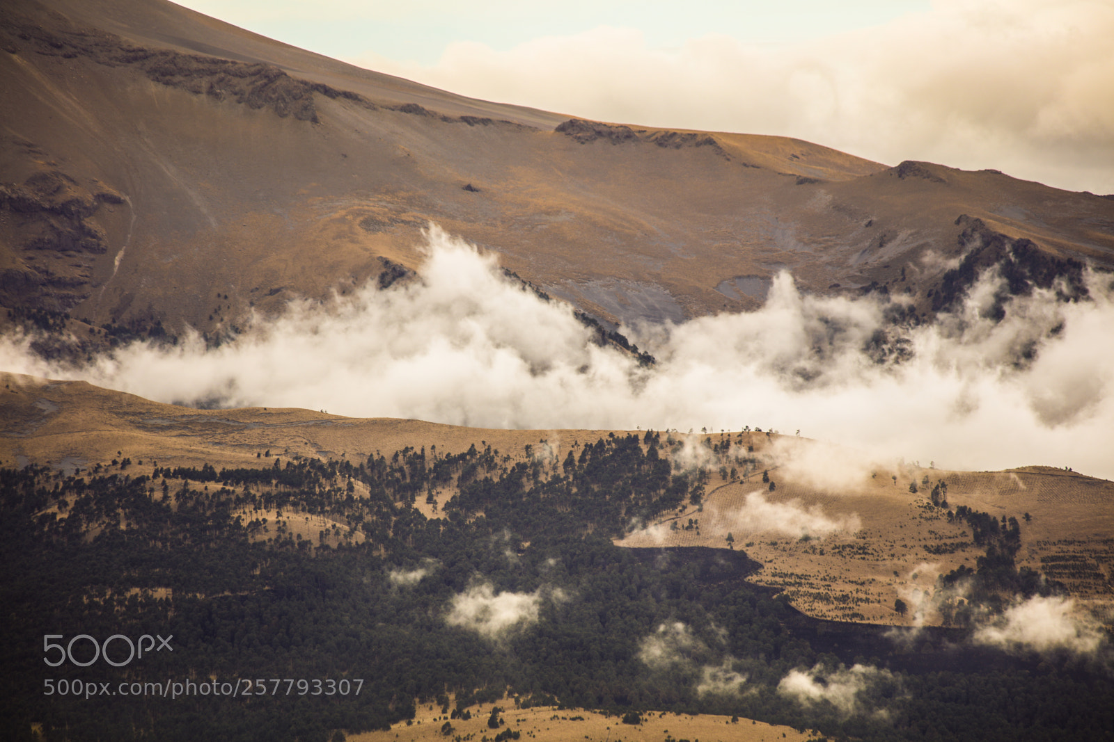 Canon EOS 5DS sample photo. The land above the photography
