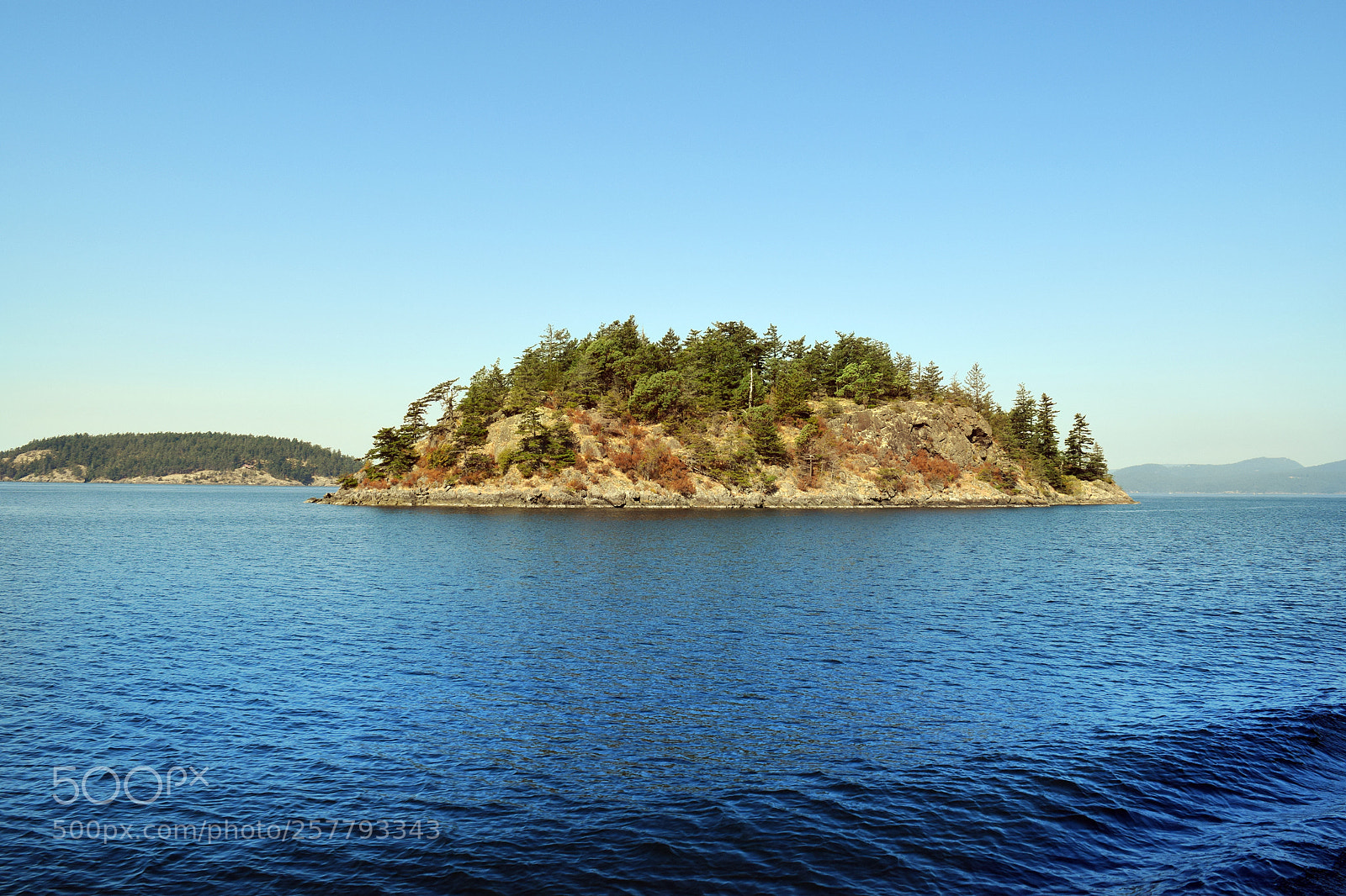 Nikon D5300 sample photo. Taryn rehn puget sound photography