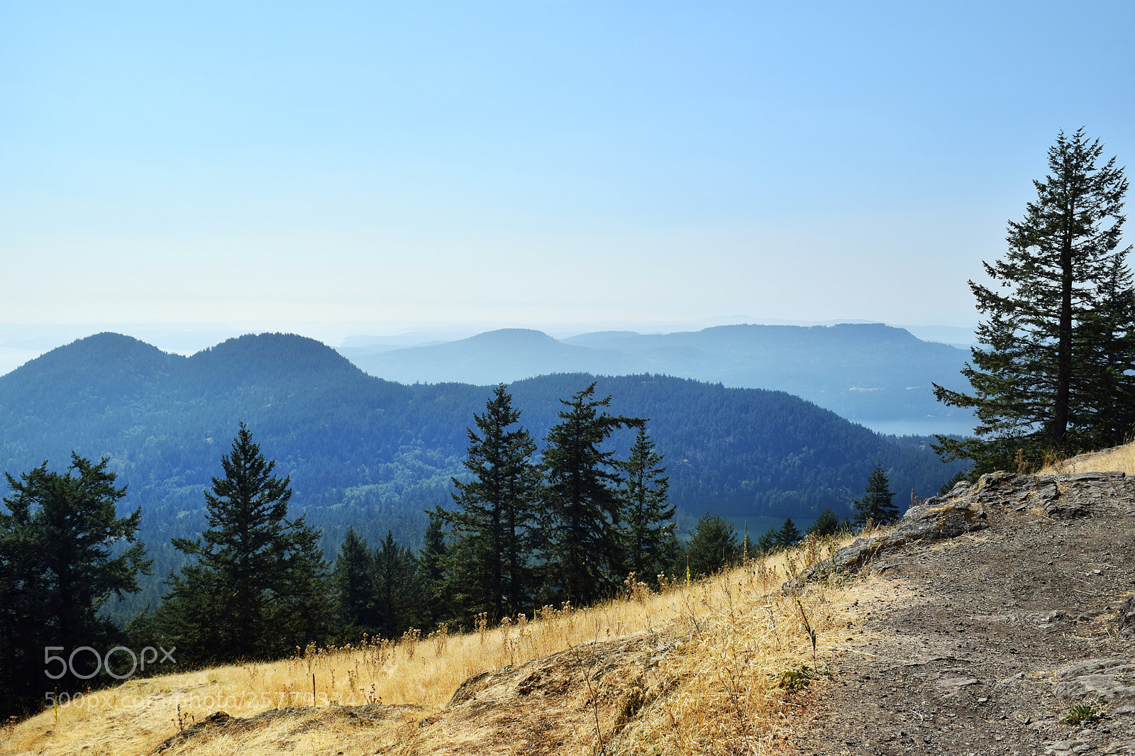 Nikon D5300 sample photo. Puget sound washington islands photography