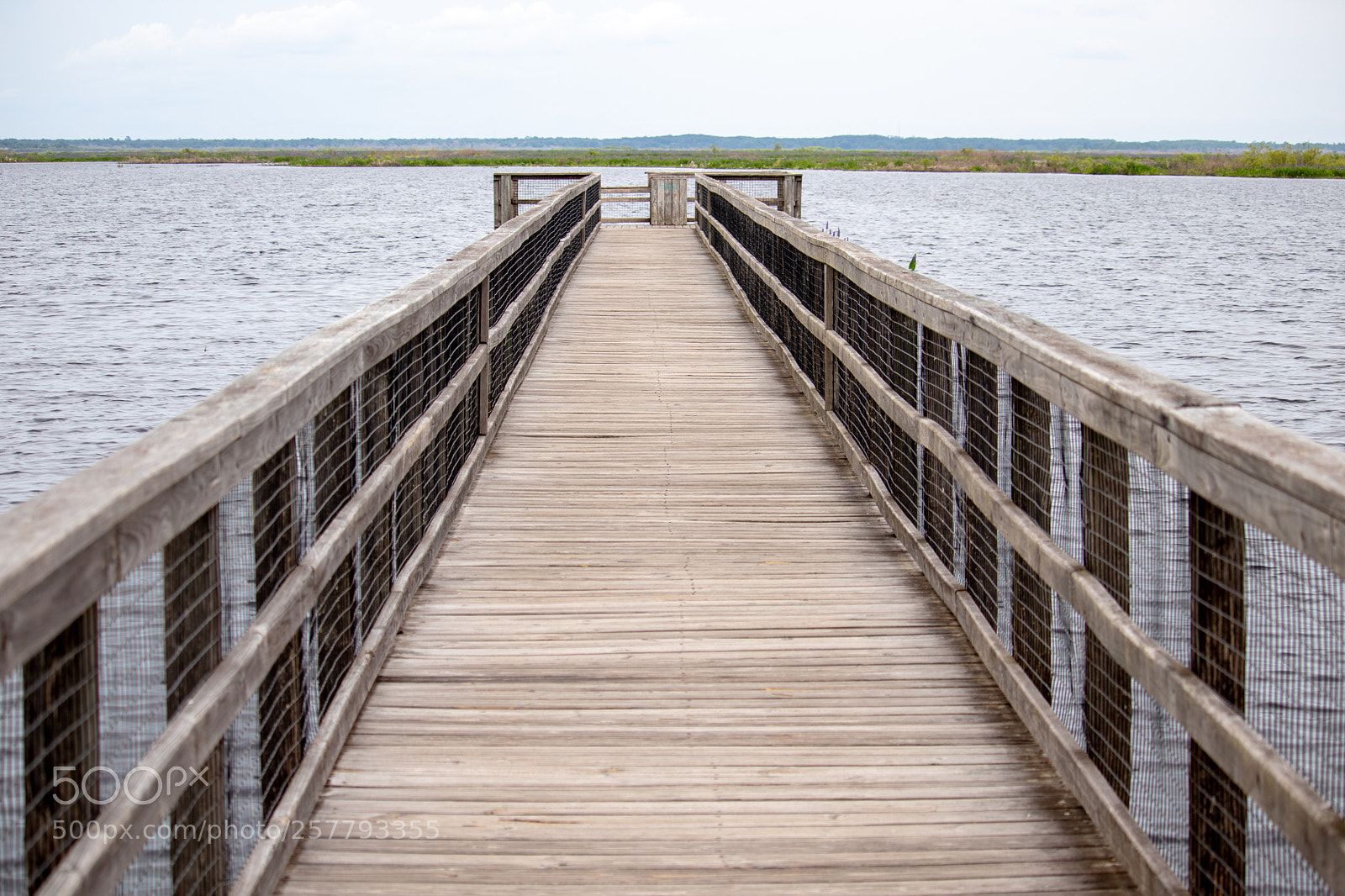 Canon EOS 77D (EOS 9000D / EOS 770D) sample photo. Paynes priarie boardwalk photography