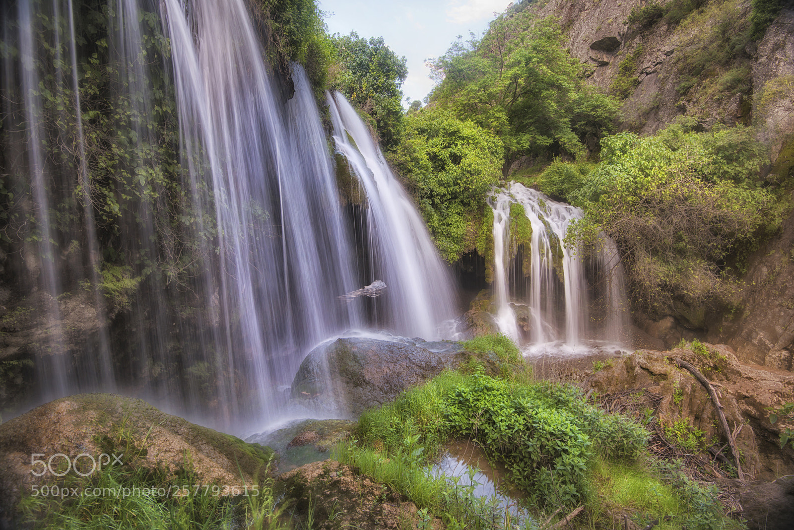 Nikon D750 sample photo. ... photography