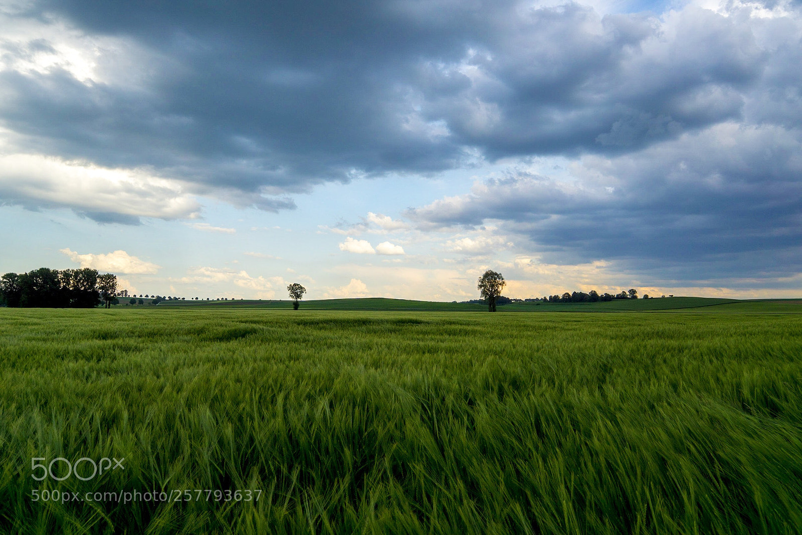 Sony a5100 sample photo. The storm is coming  photography
