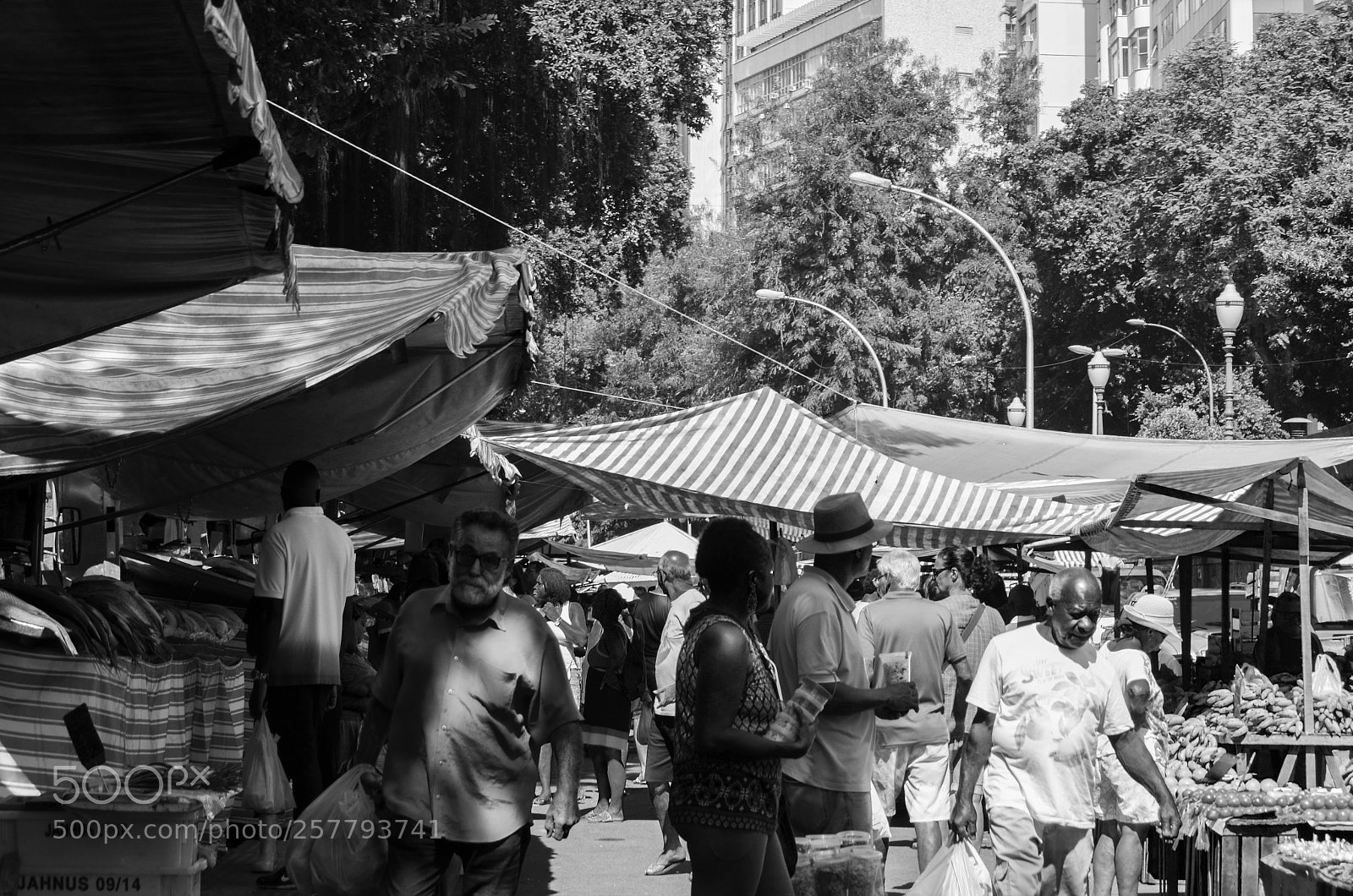 Nikon D5100 sample photo. Mercado brasileiro 3 photography