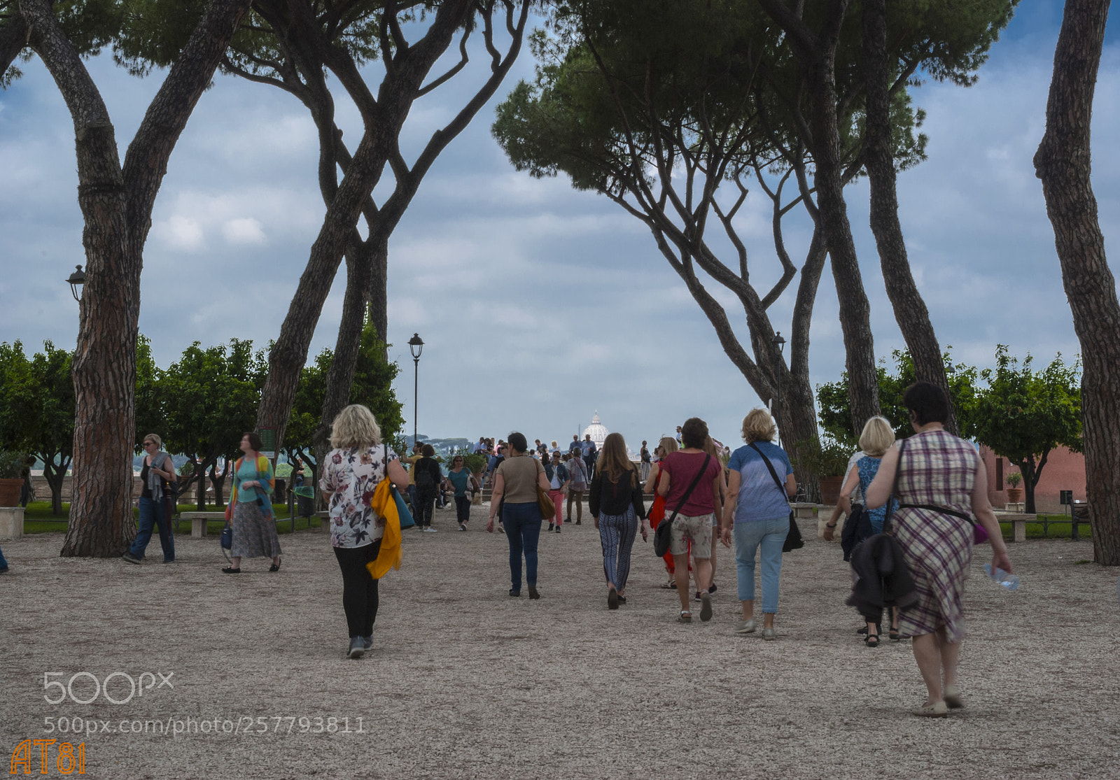 Nikon D80 sample photo. From behind photography