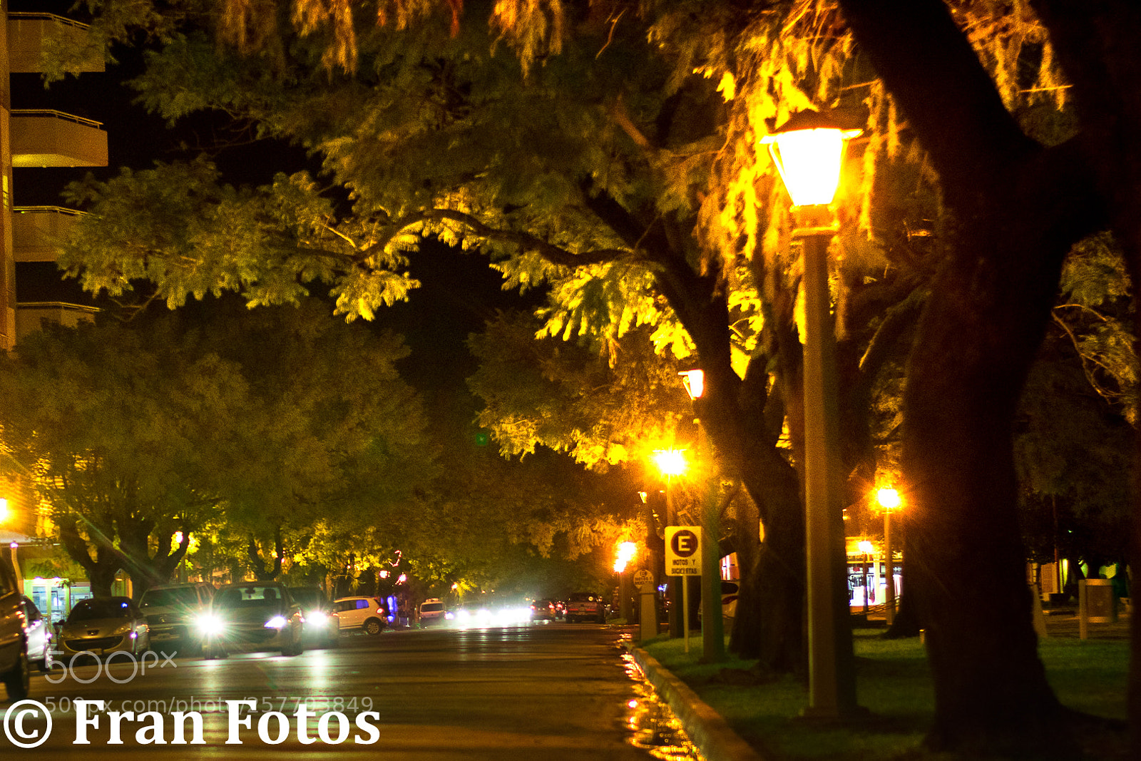 Nikon D3300 sample photo. Untitled photography